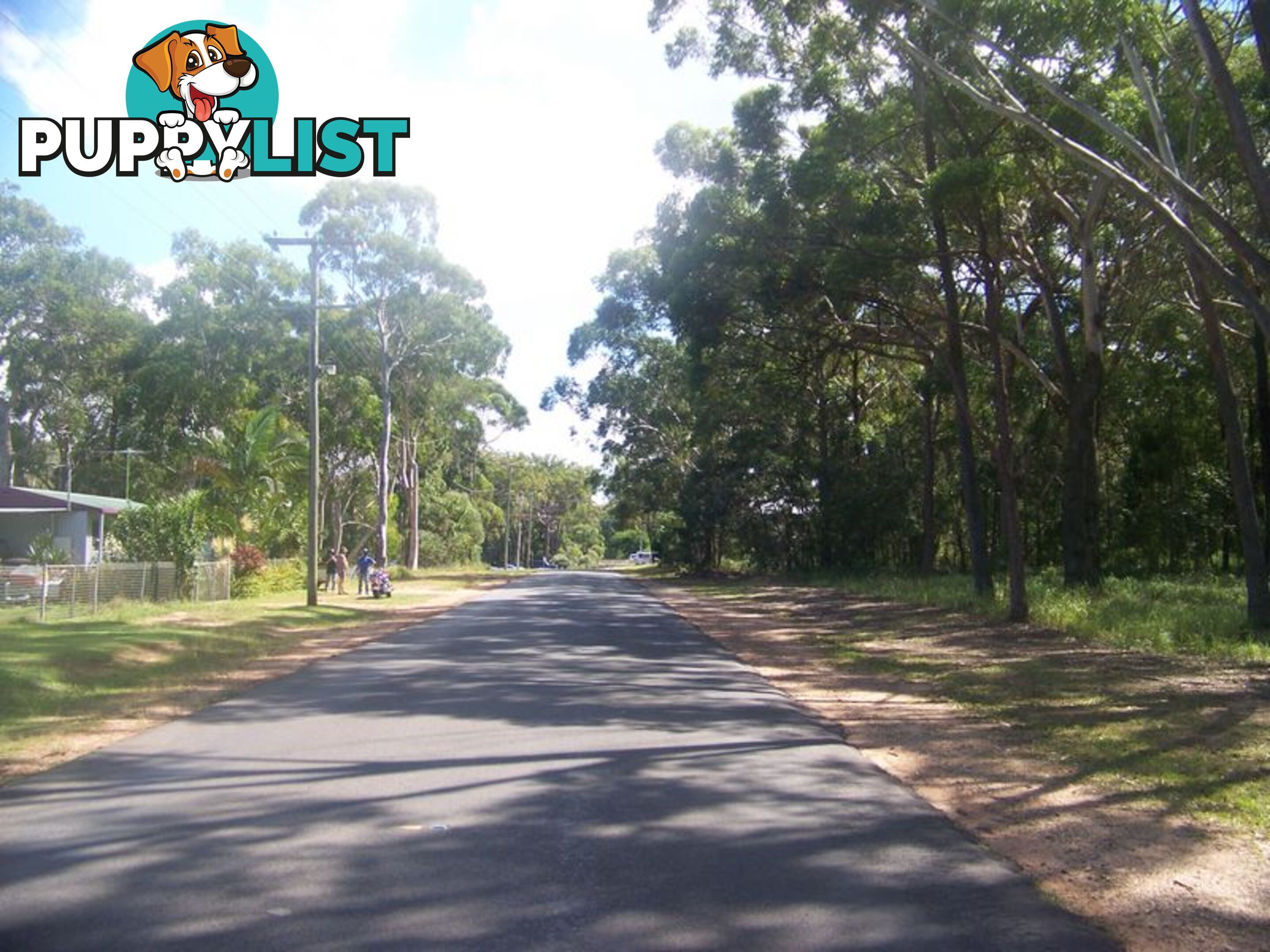 17 Canaipa Road RUSSELL ISLAND QLD 4184