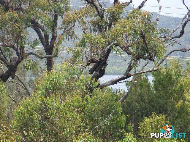 RUSSELL ISLAND QLD 4184