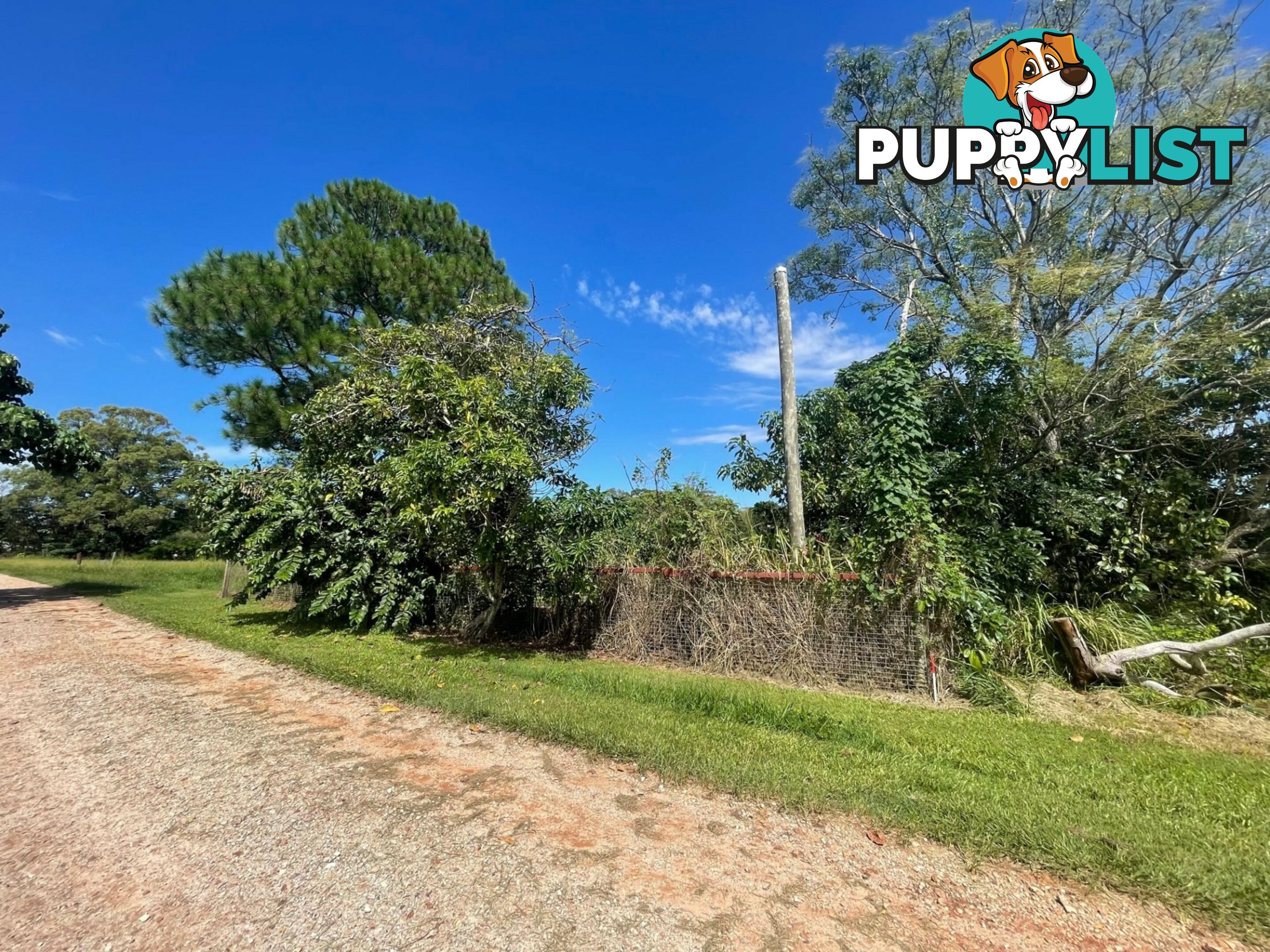 15 Sandra Street RUSSELL ISLAND QLD 4184