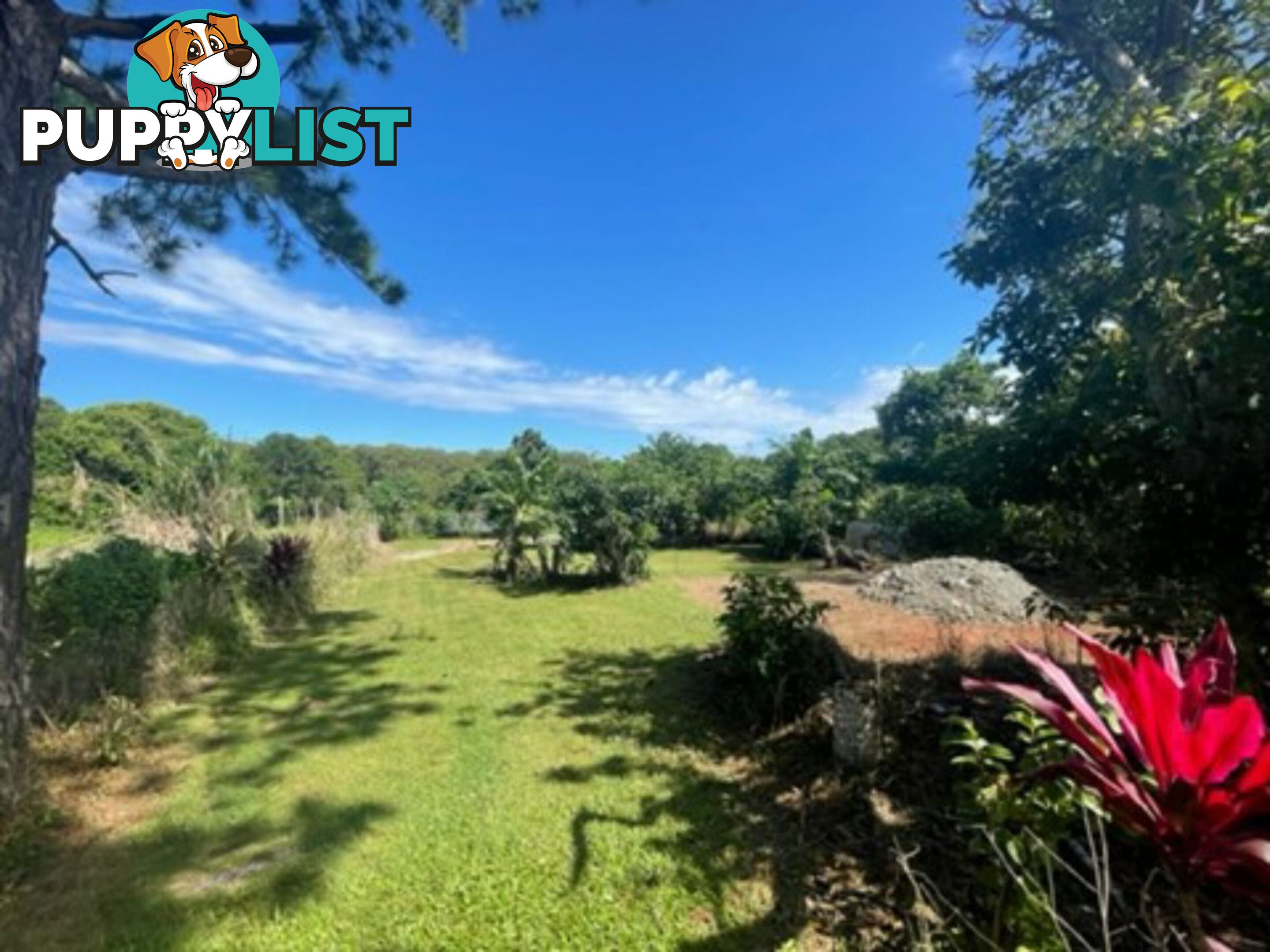 15 Sandra Street RUSSELL ISLAND QLD 4184