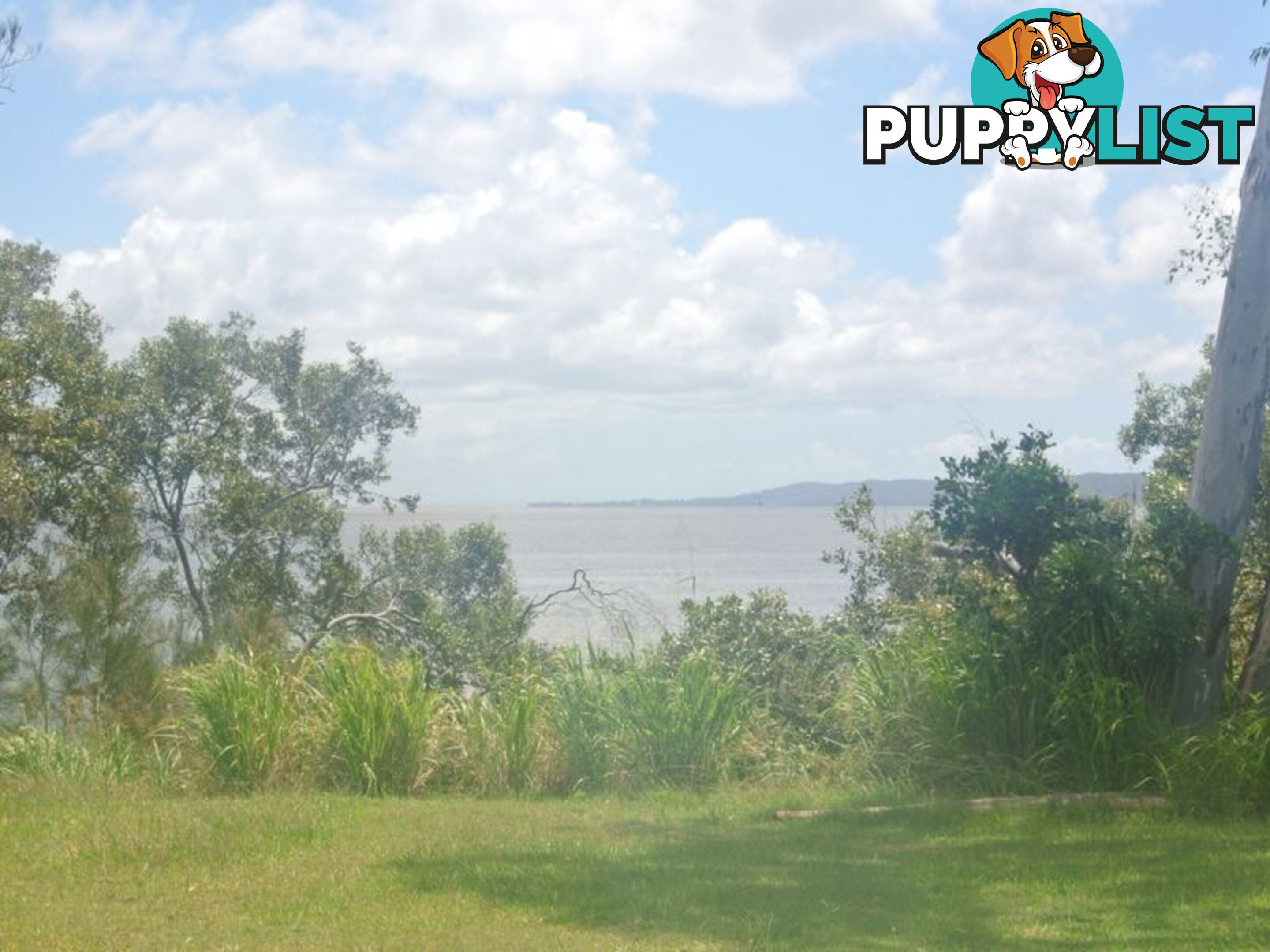 54 Bay Dve, RUSSELL ISLAND QLD 4184