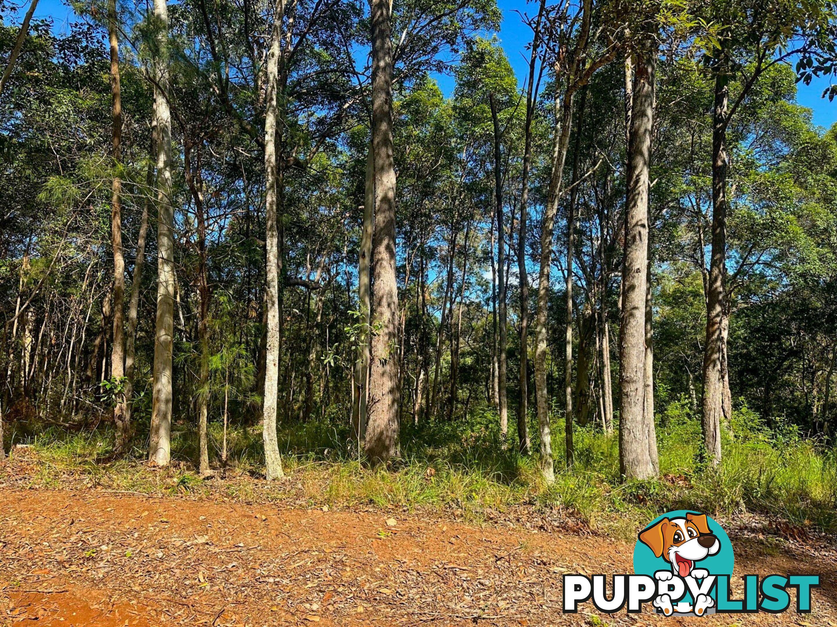 58 Burke Ave RUSSELL ISLAND QLD 4184
