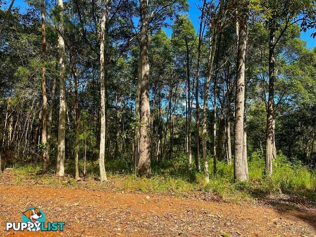 58 Burke Ave RUSSELL ISLAND QLD 4184
