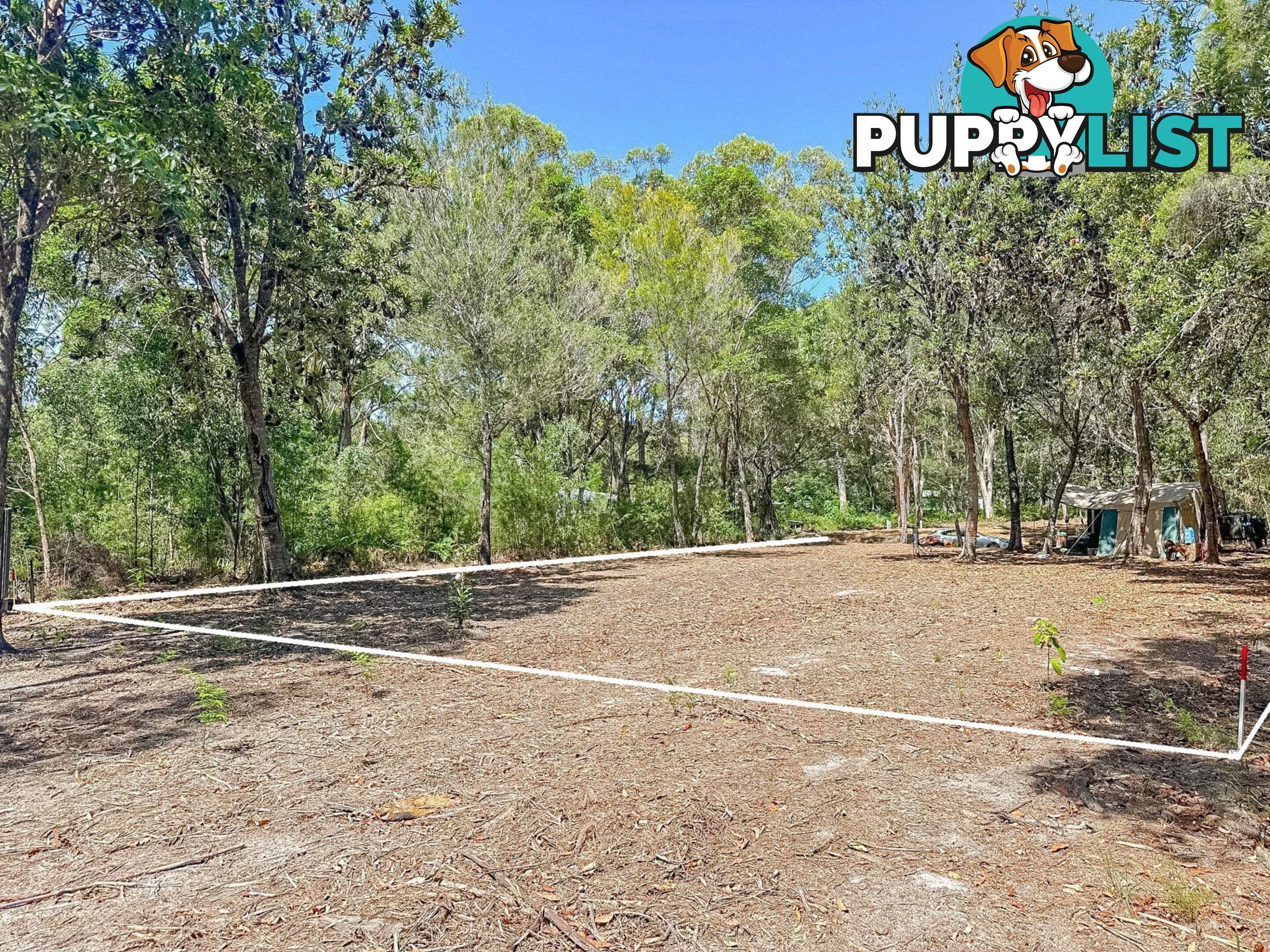 16 Cowderoy Drive RUSSELL ISLAND QLD 4184