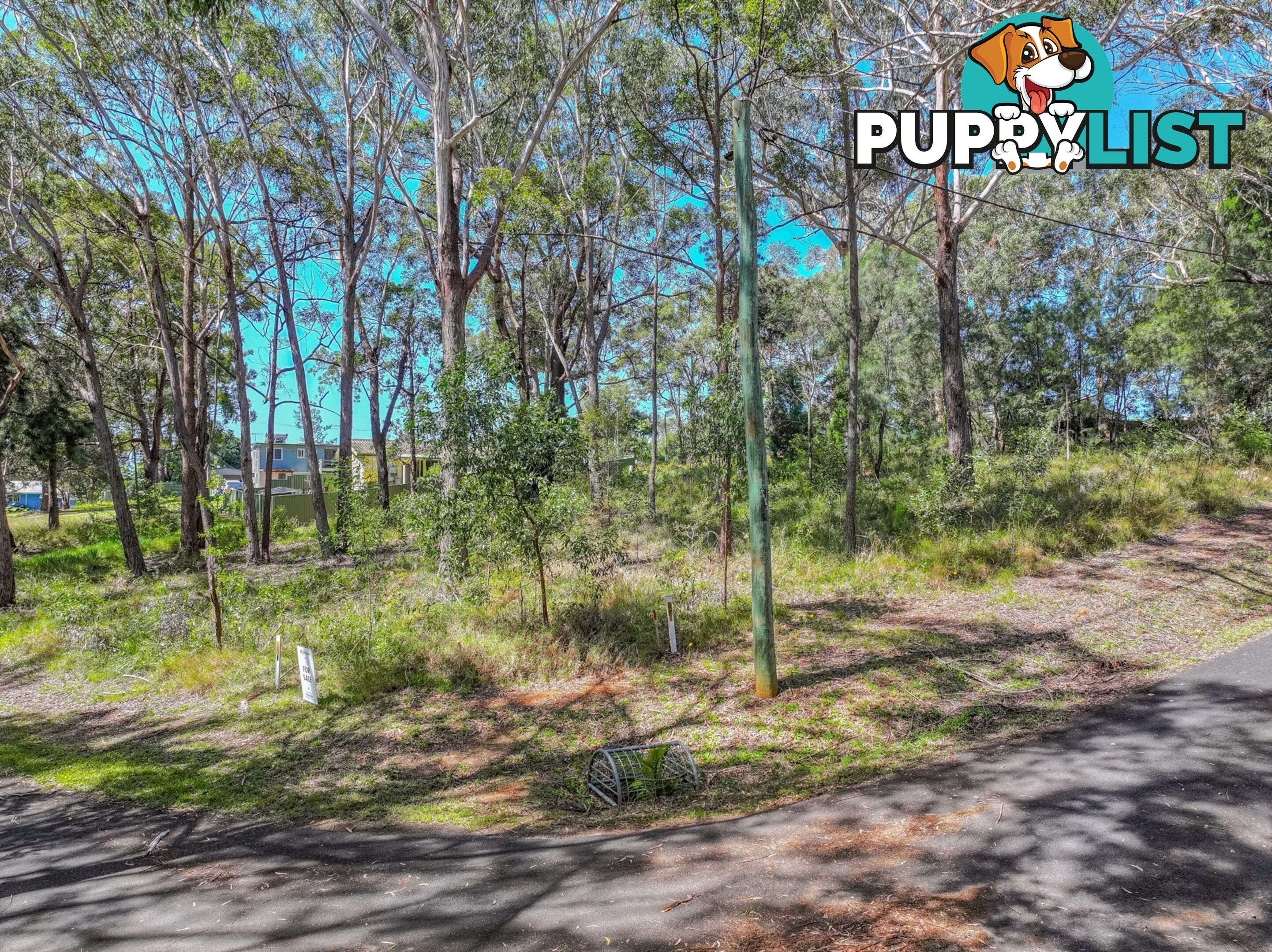 35 Borrows Street RUSSELL ISLAND QLD 4184