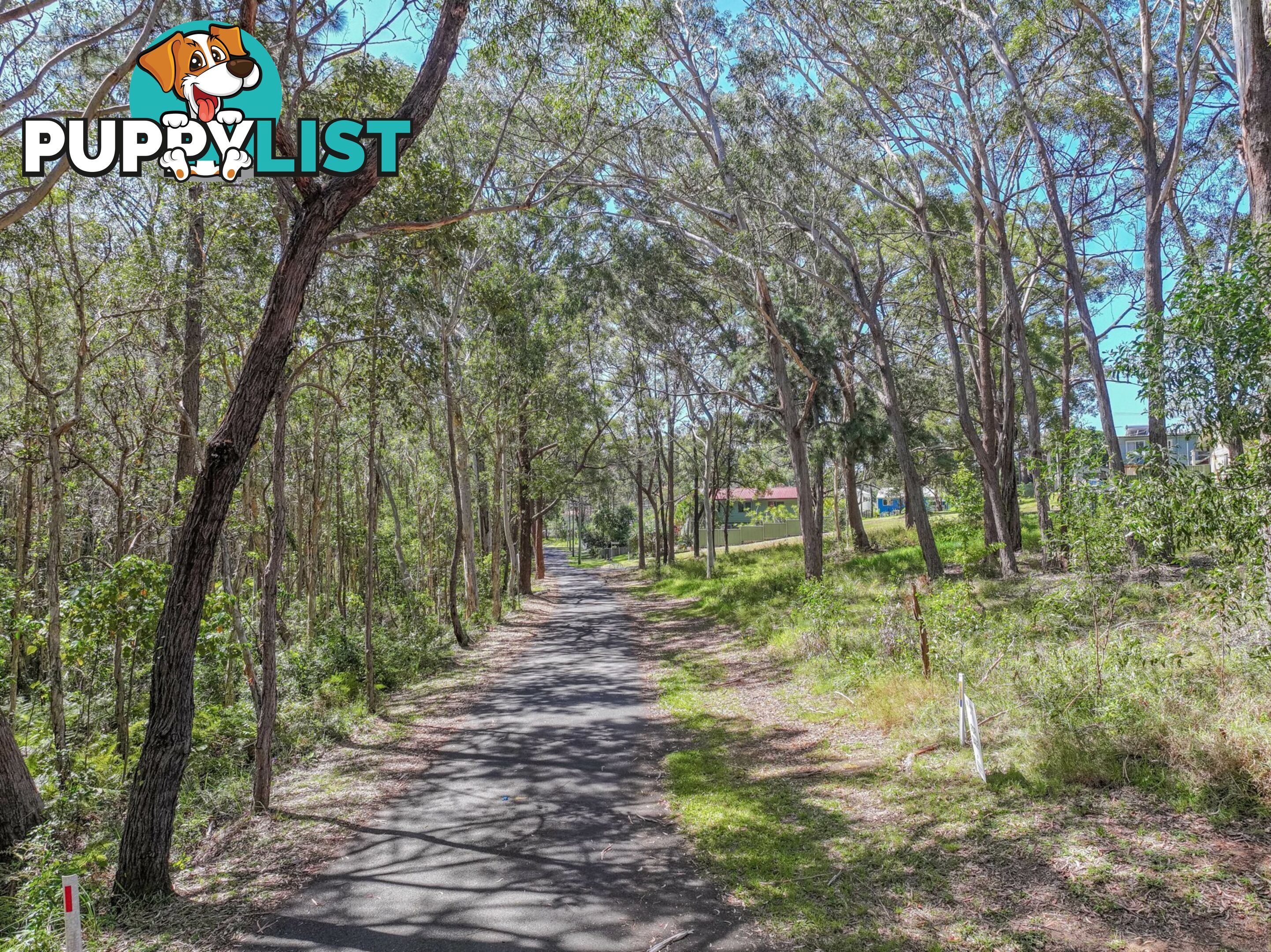 35 Borrows Street RUSSELL ISLAND QLD 4184