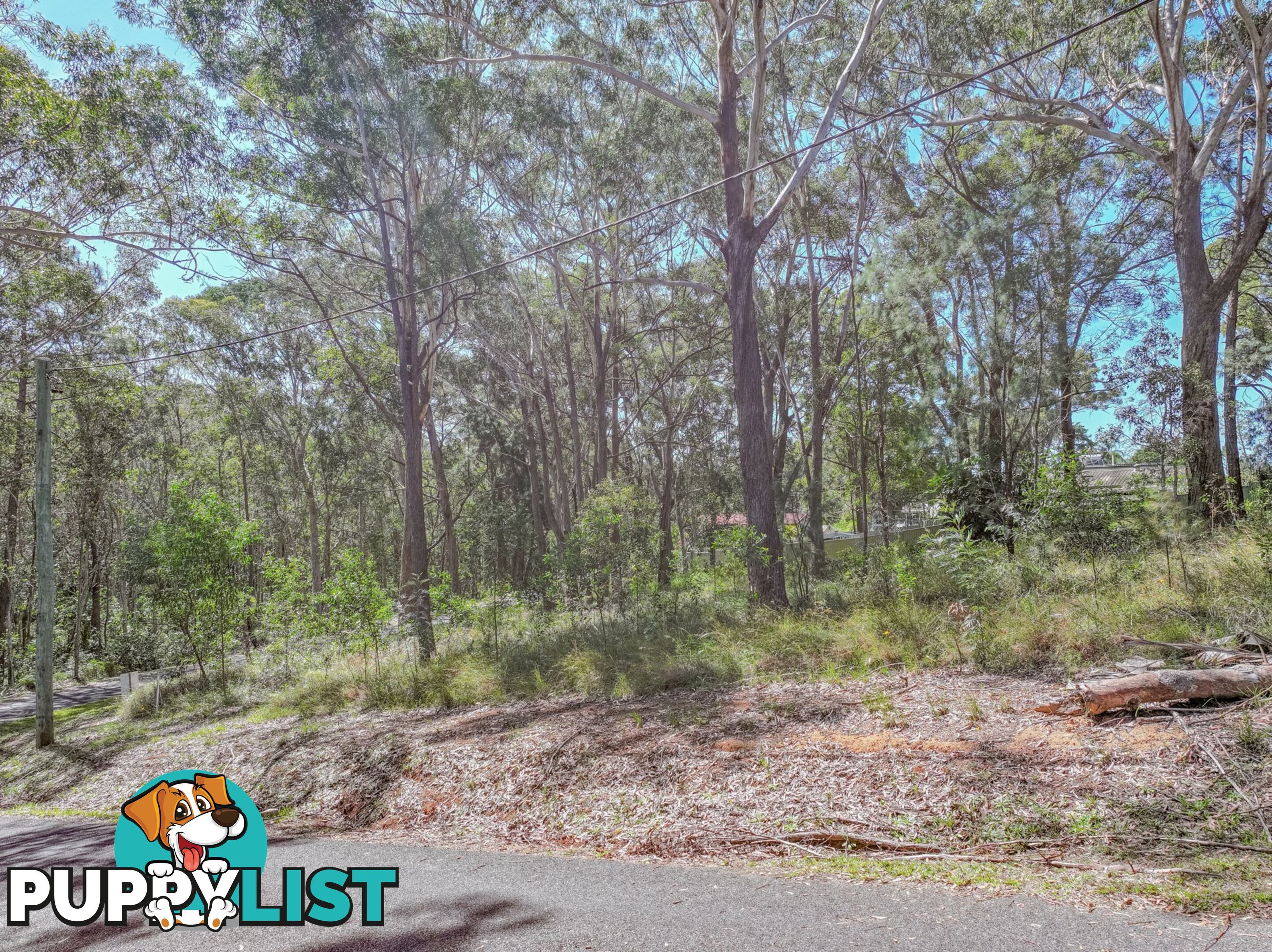 35 Borrows Street RUSSELL ISLAND QLD 4184