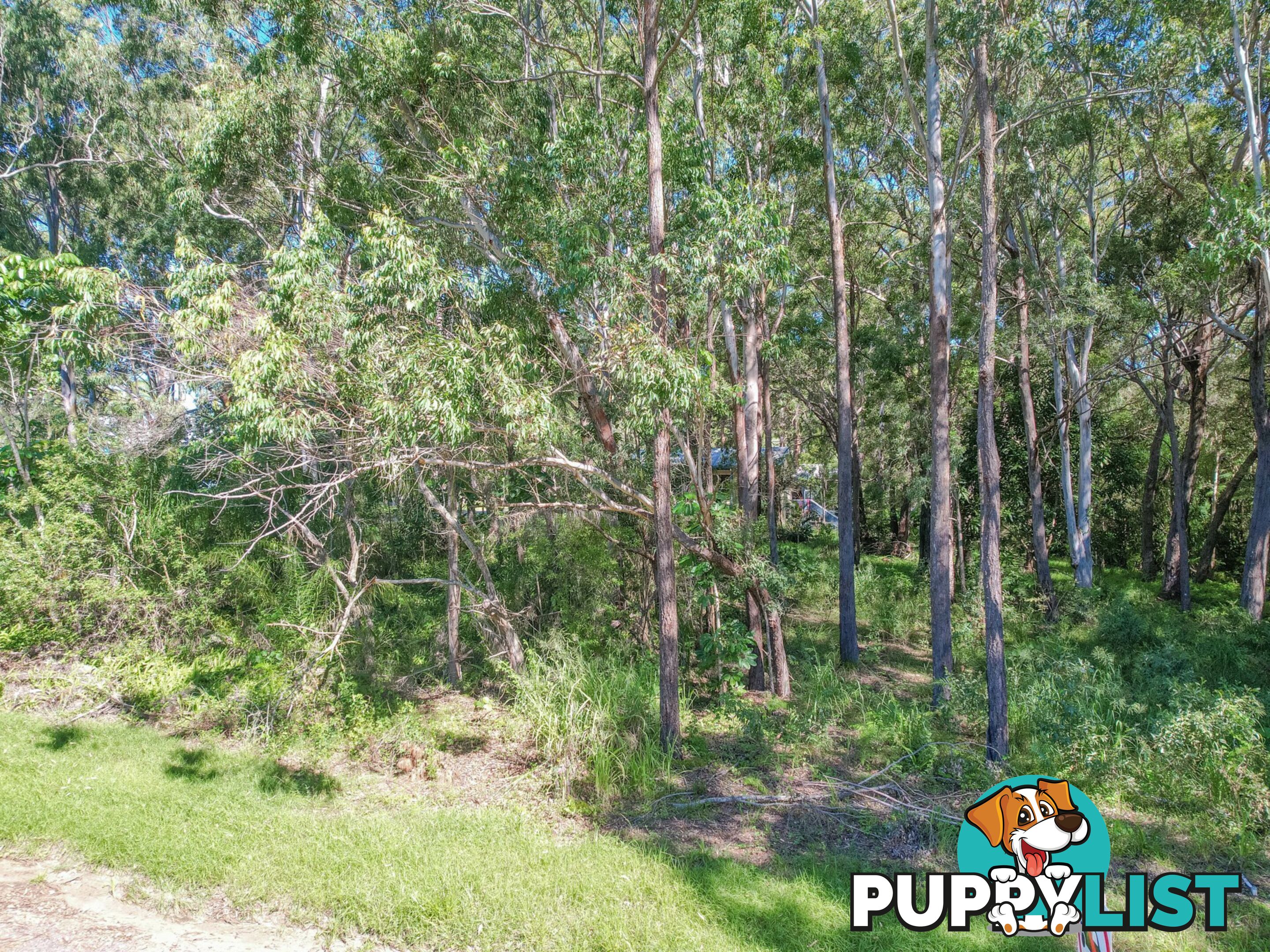 16 Bayview Road RUSSELL ISLAND QLD 4184