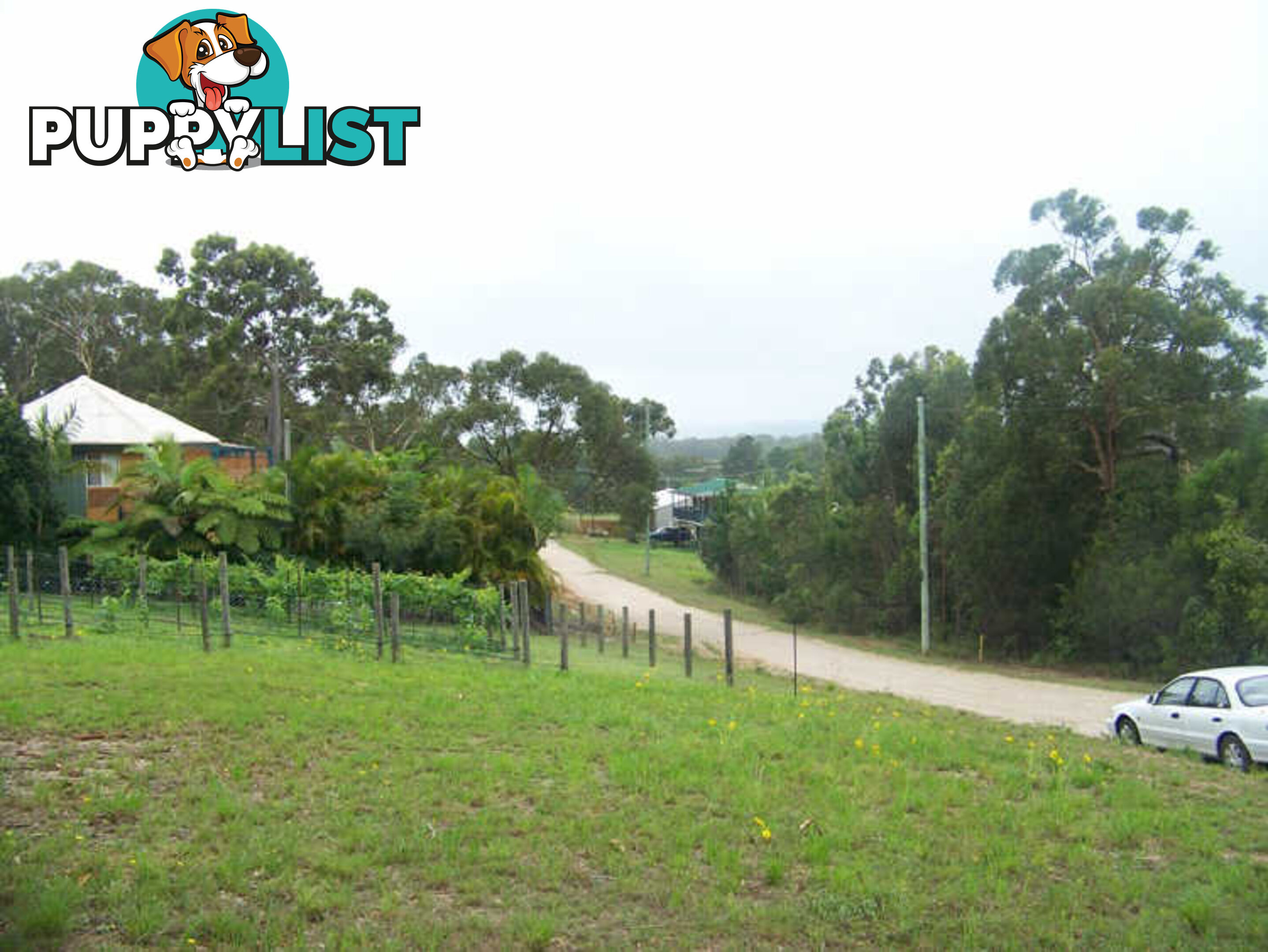 29 Akebia St RUSSELL ISLAND QLD 4184