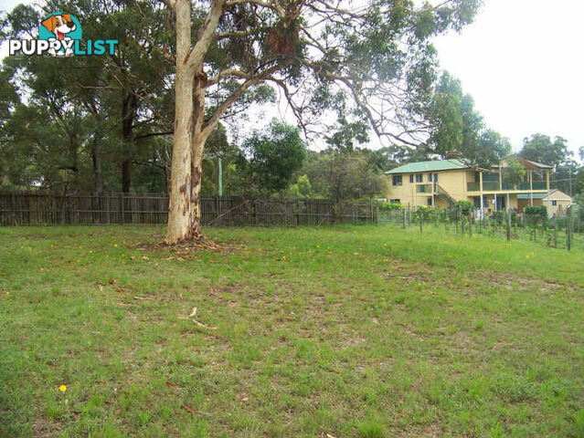 29 Akebia St RUSSELL ISLAND QLD 4184