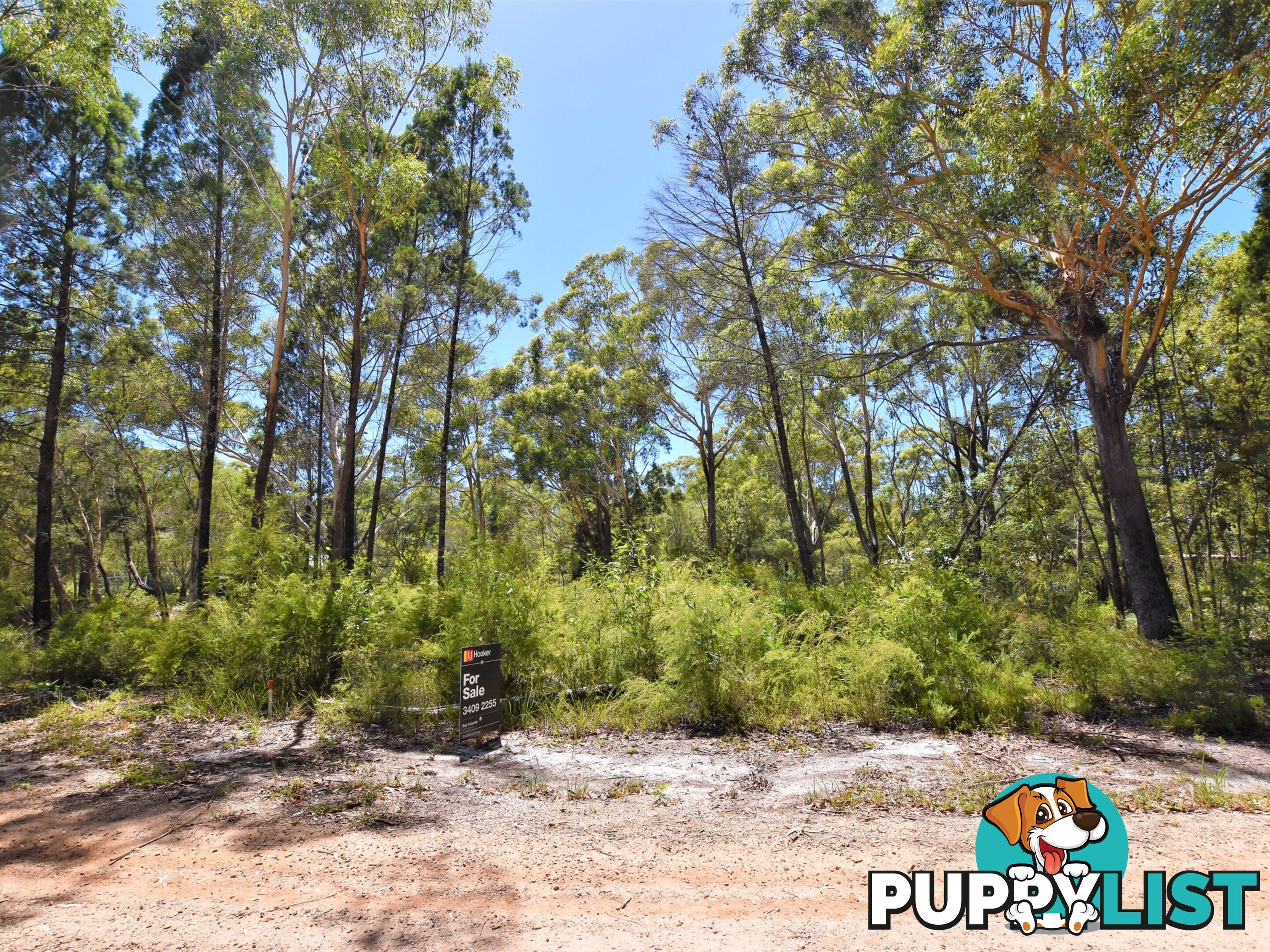 20 Summerland Dve RUSSELL ISLAND QLD 4184