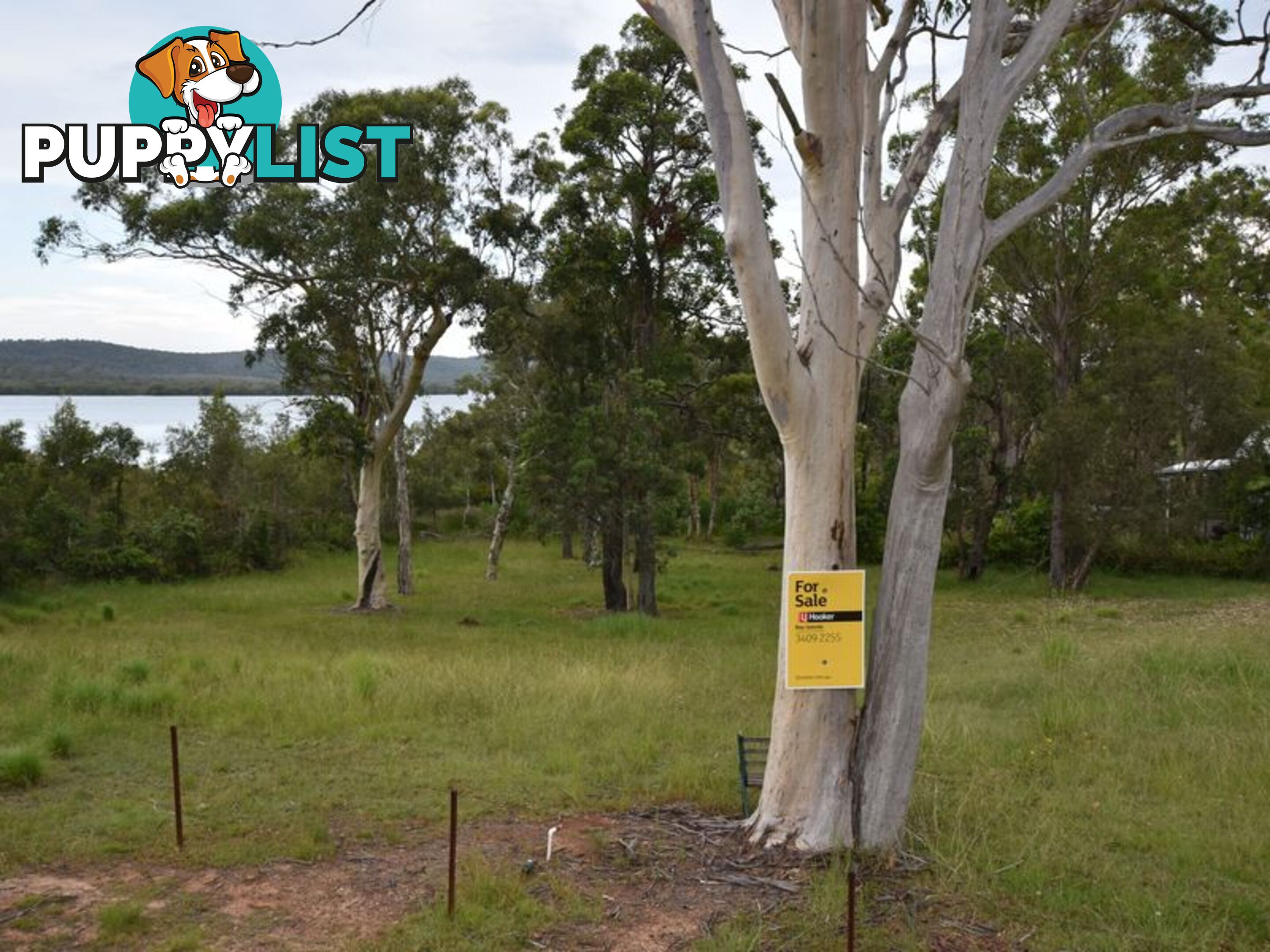 35 Orme Dv RUSSELL ISLAND QLD 4184