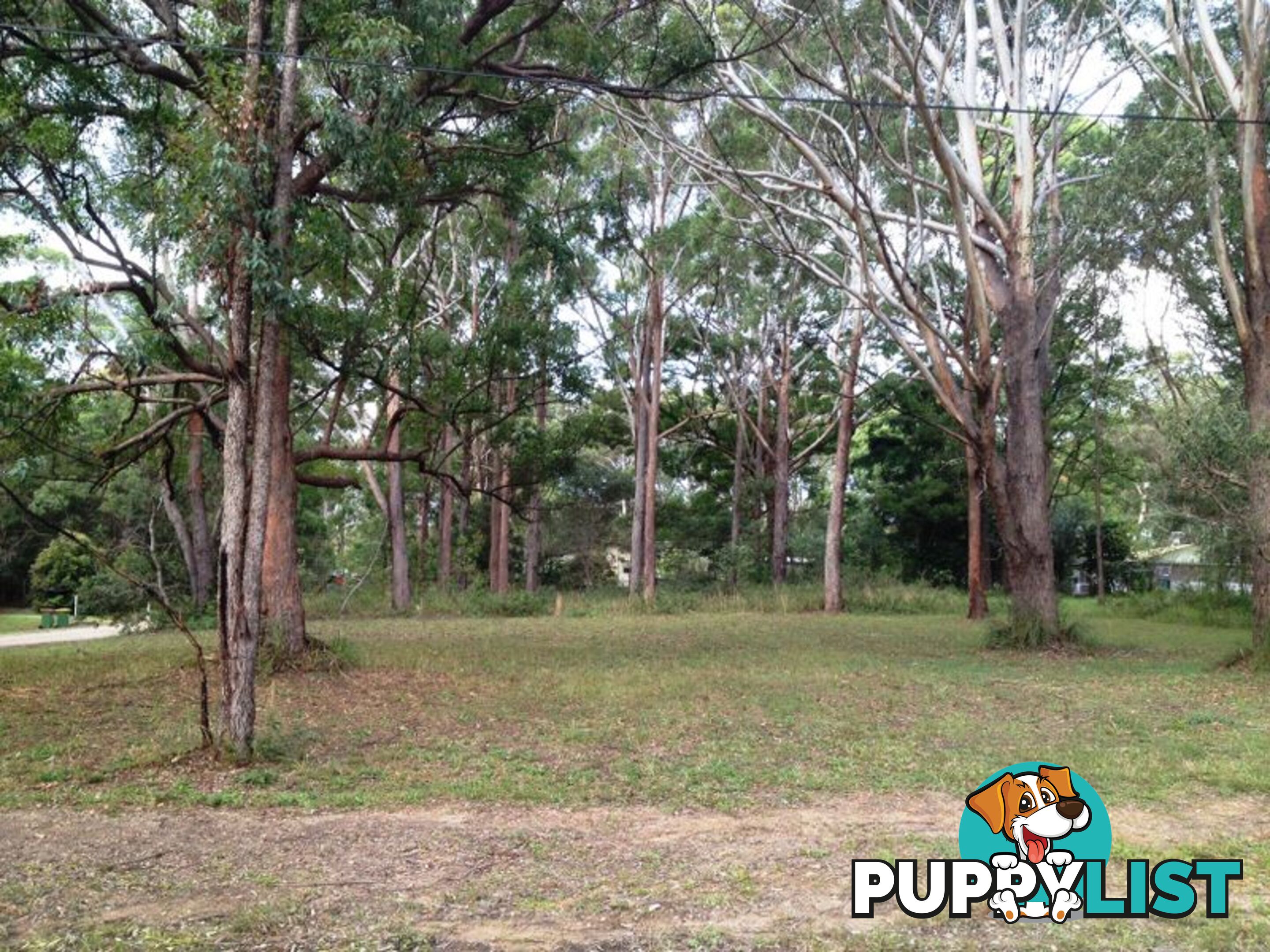 2 Alofi RUSSELL ISLAND QLD 4184