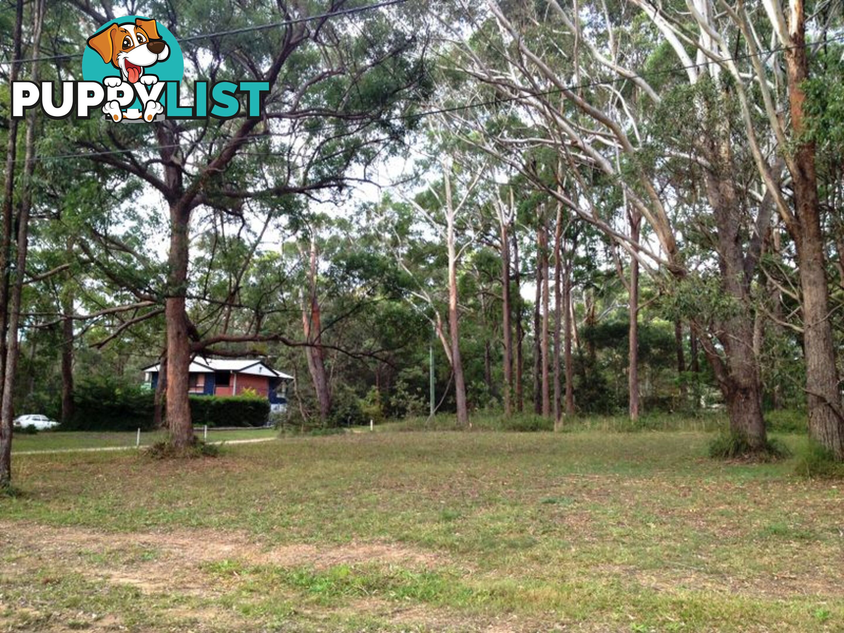 2 Alofi RUSSELL ISLAND QLD 4184