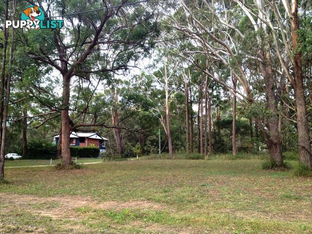 2 Alofi RUSSELL ISLAND QLD 4184