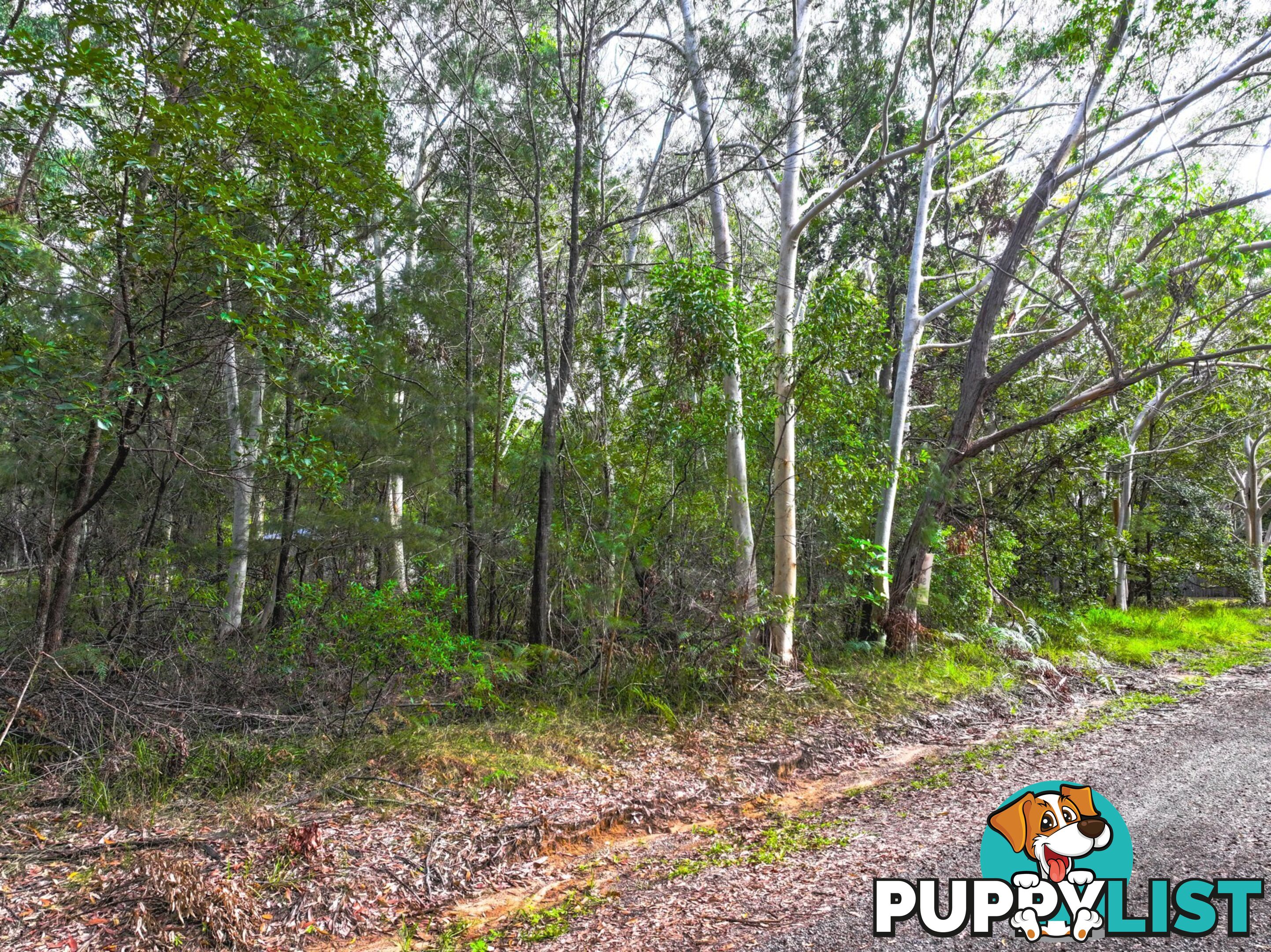 20 Dickenson Street RUSSELL ISLAND QLD 4184