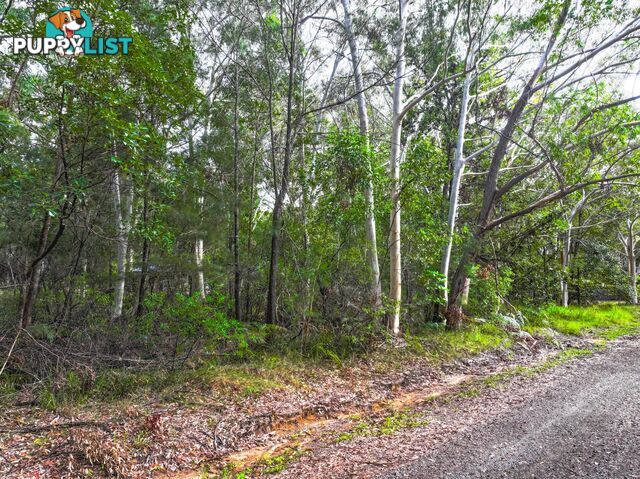 20 Dickenson Street RUSSELL ISLAND QLD 4184