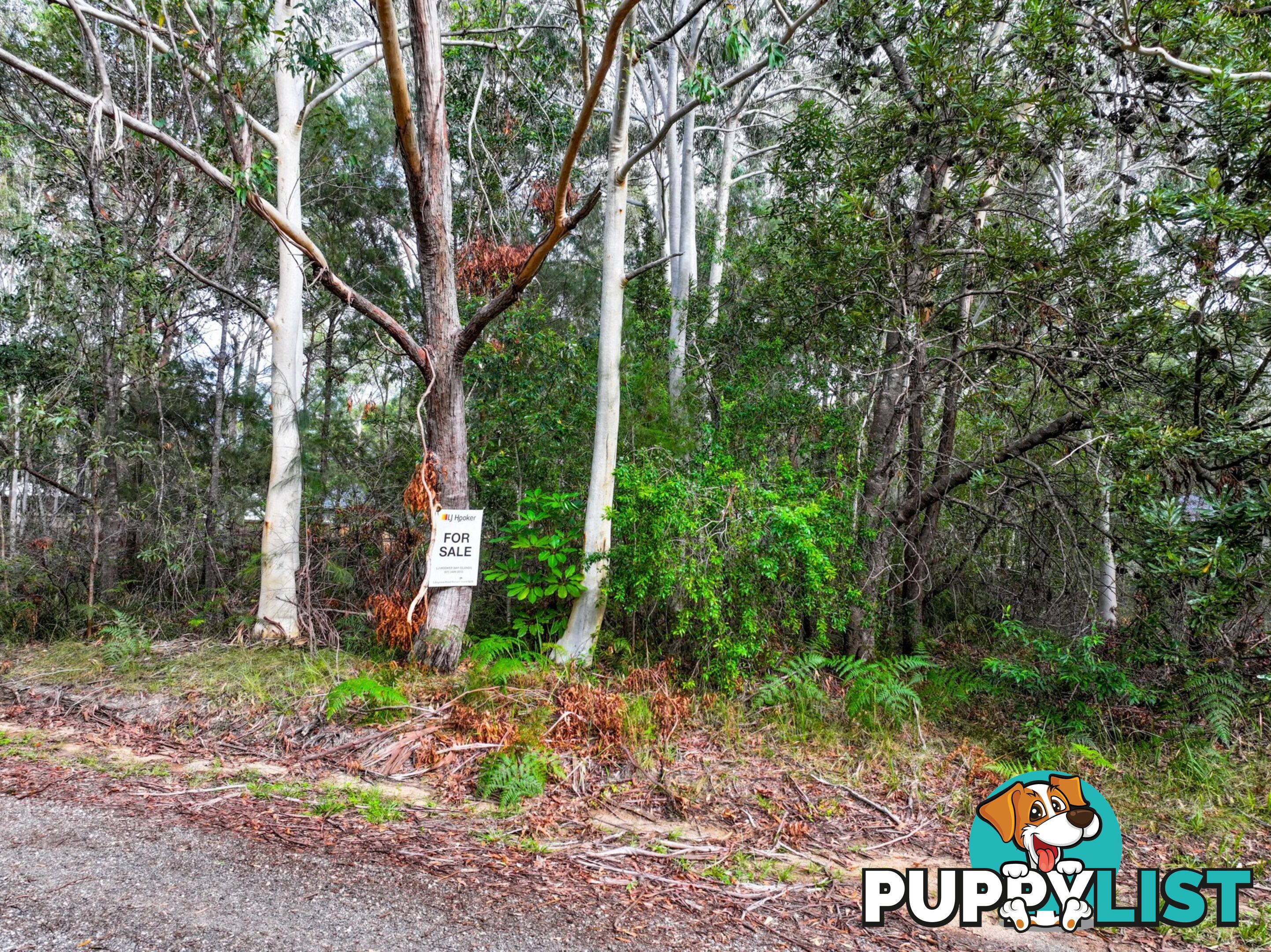 20 Dickenson Street RUSSELL ISLAND QLD 4184