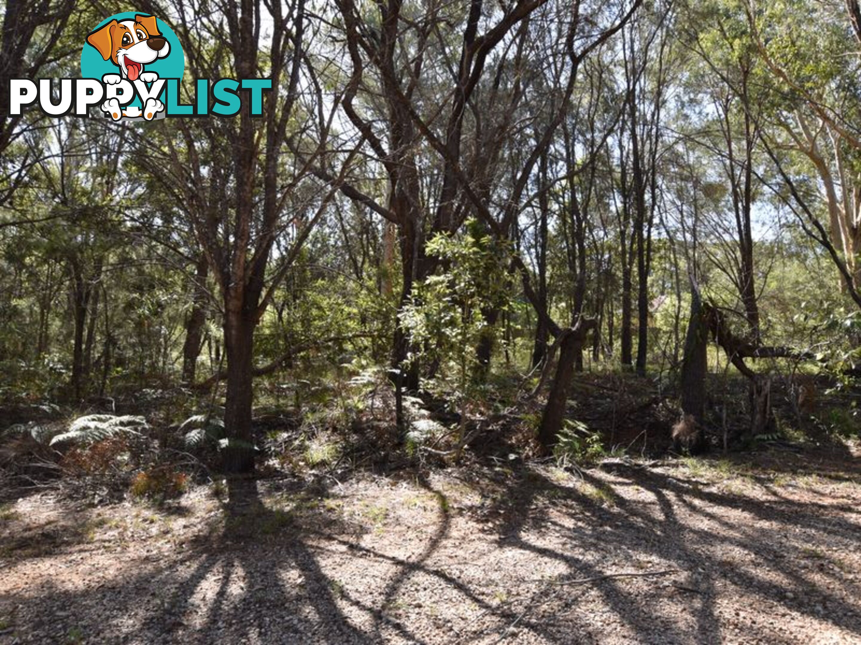 18 Castlewood RUSSELL ISLAND QLD 4184