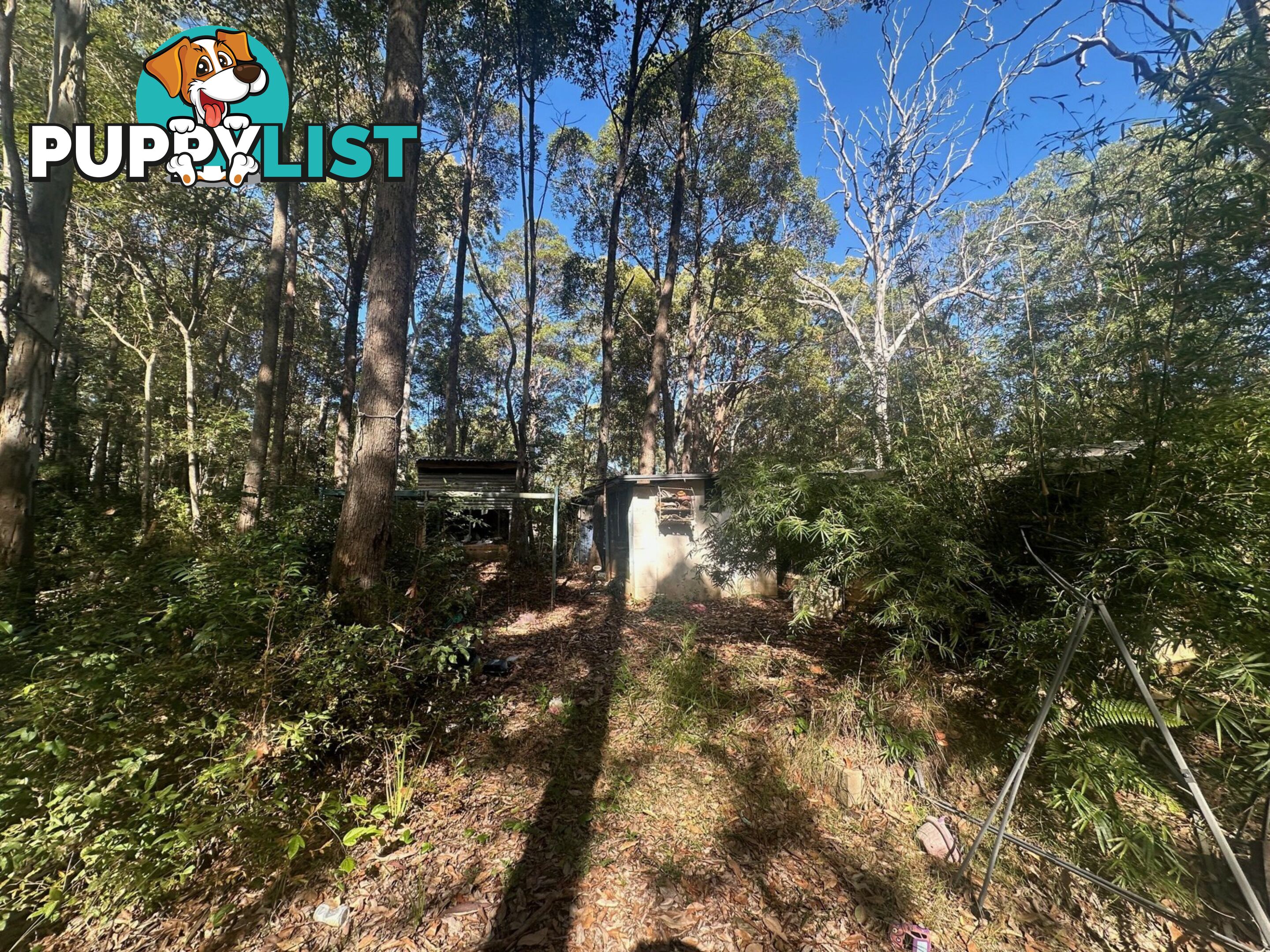 54 Cook Ave RUSSELL ISLAND QLD 4184