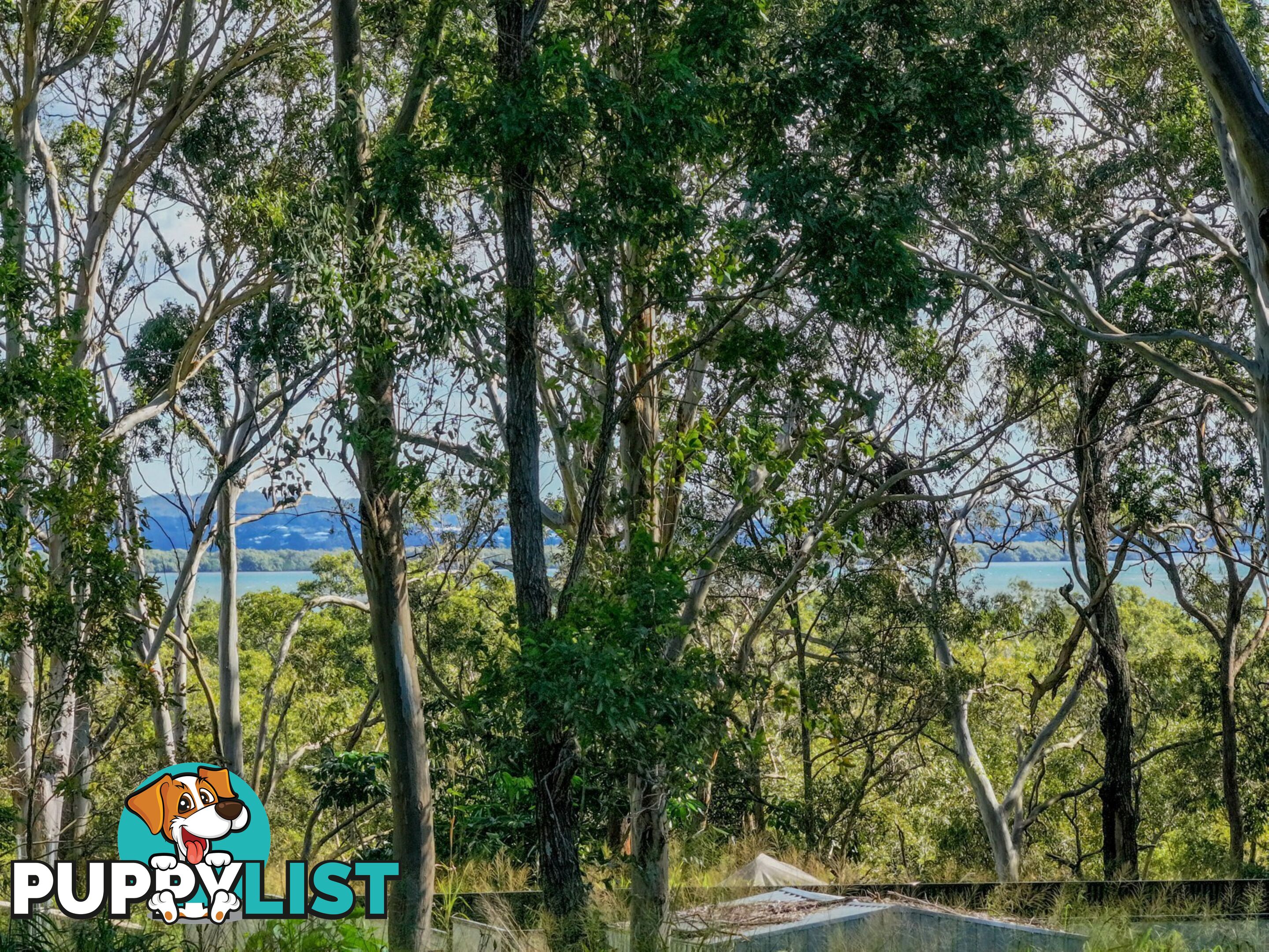 123 Laurel Street RUSSELL ISLAND QLD 4184