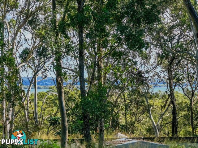 123 Laurel Street RUSSELL ISLAND QLD 4184