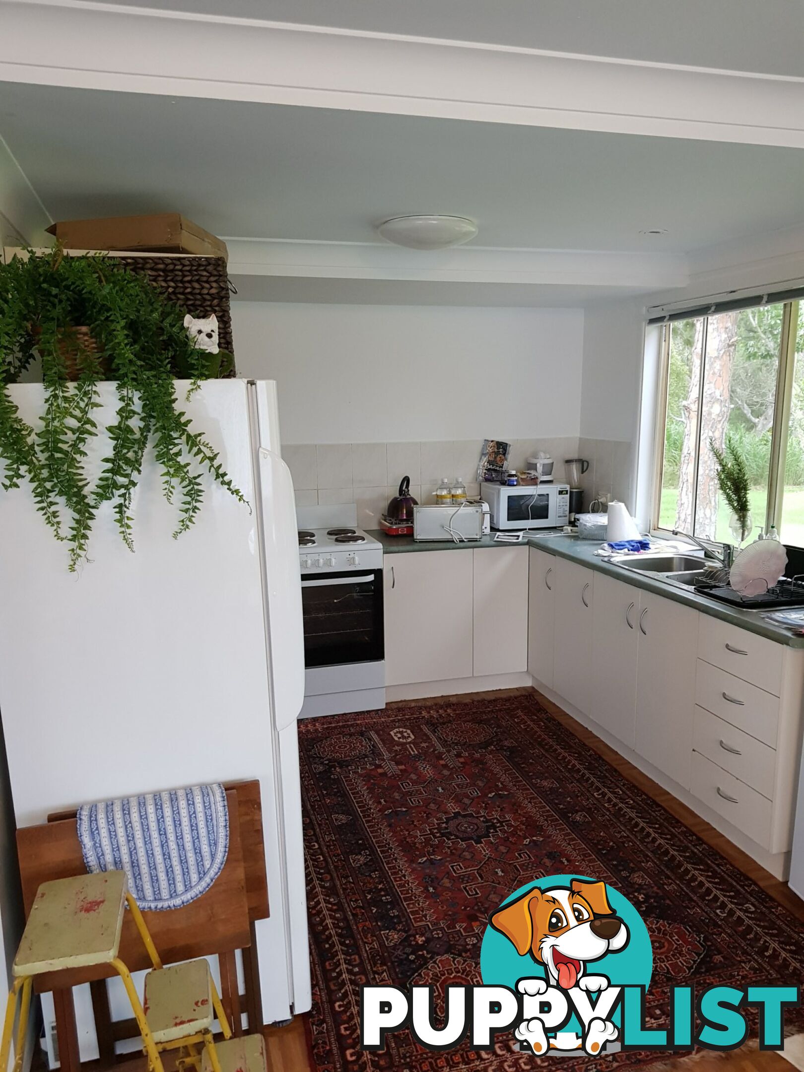 3 Canaipa Point Drive RUSSELL ISAND QLD 4184