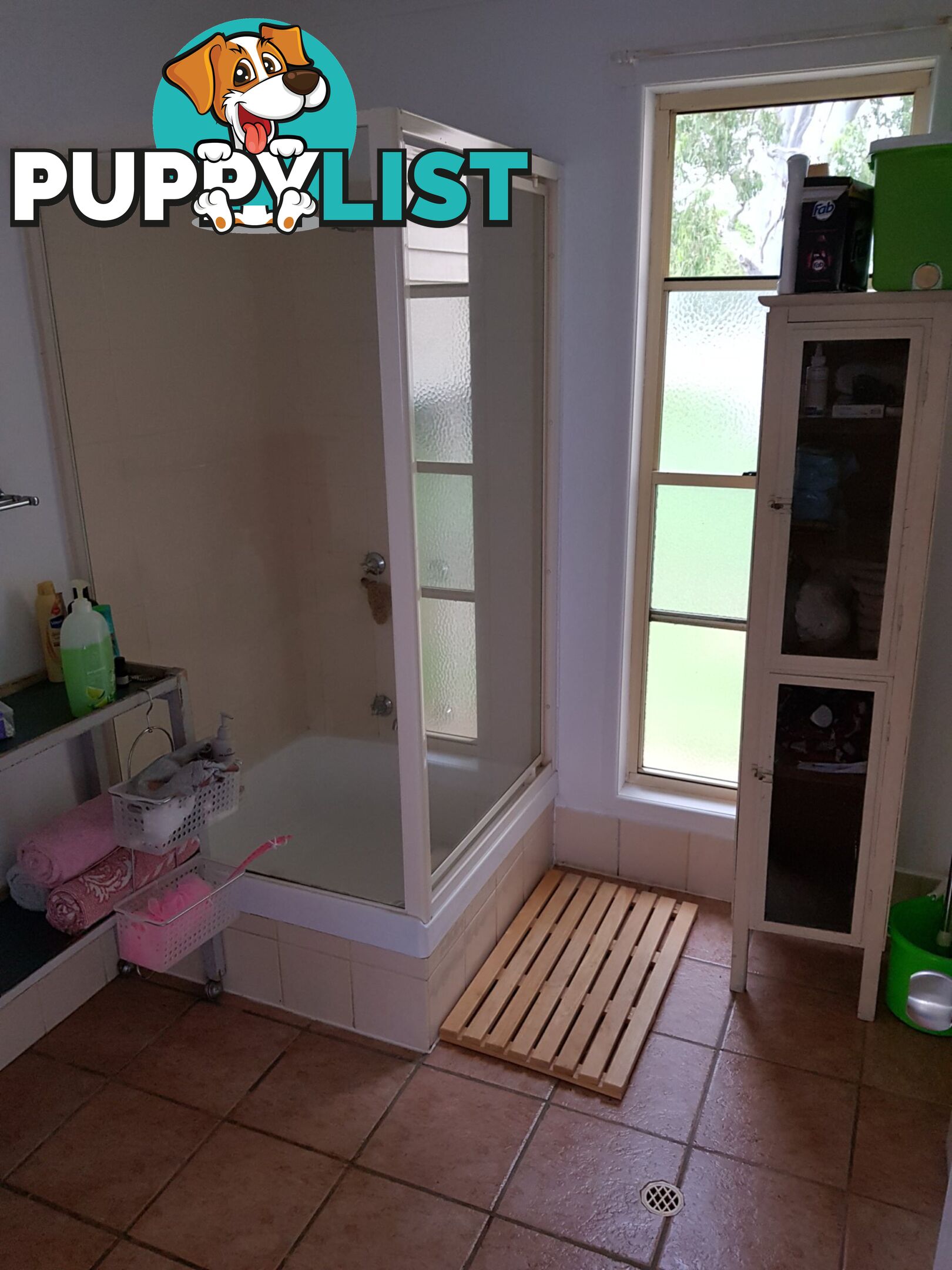 3 Canaipa Point Drive RUSSELL ISAND QLD 4184