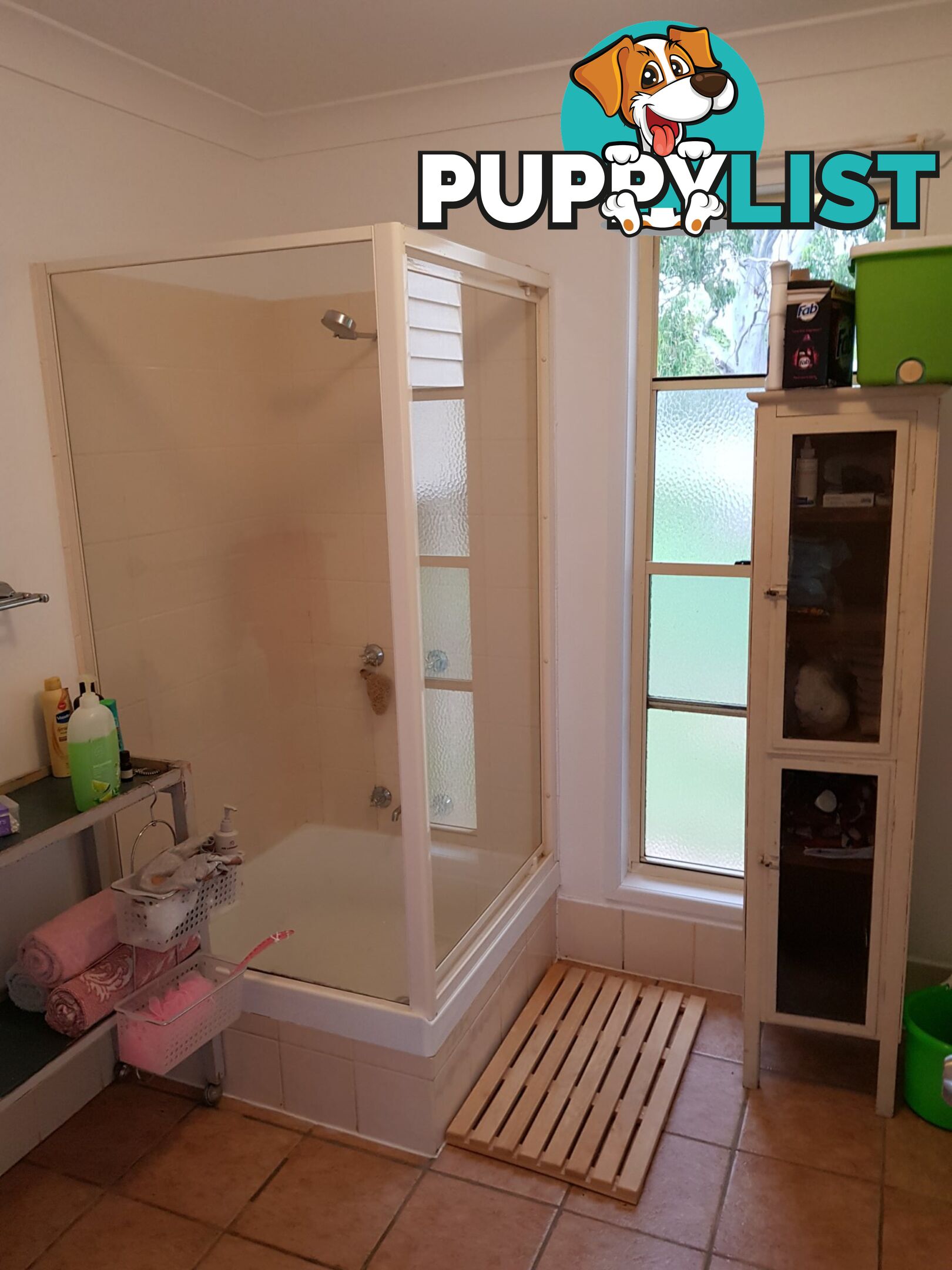 3 Canaipa Point Drive RUSSELL ISAND QLD 4184