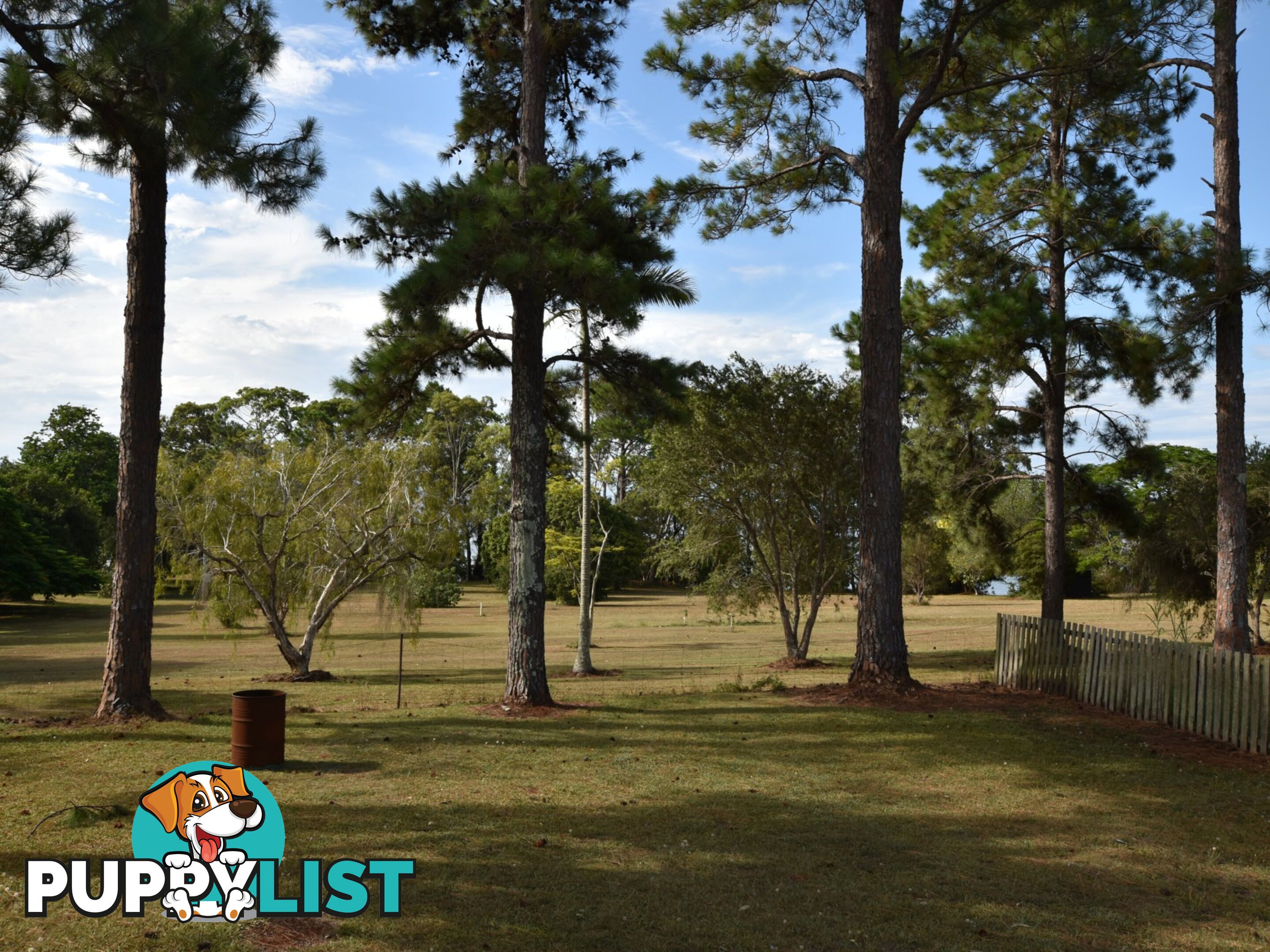 3 Canaipa Point Drive RUSSELL ISAND QLD 4184