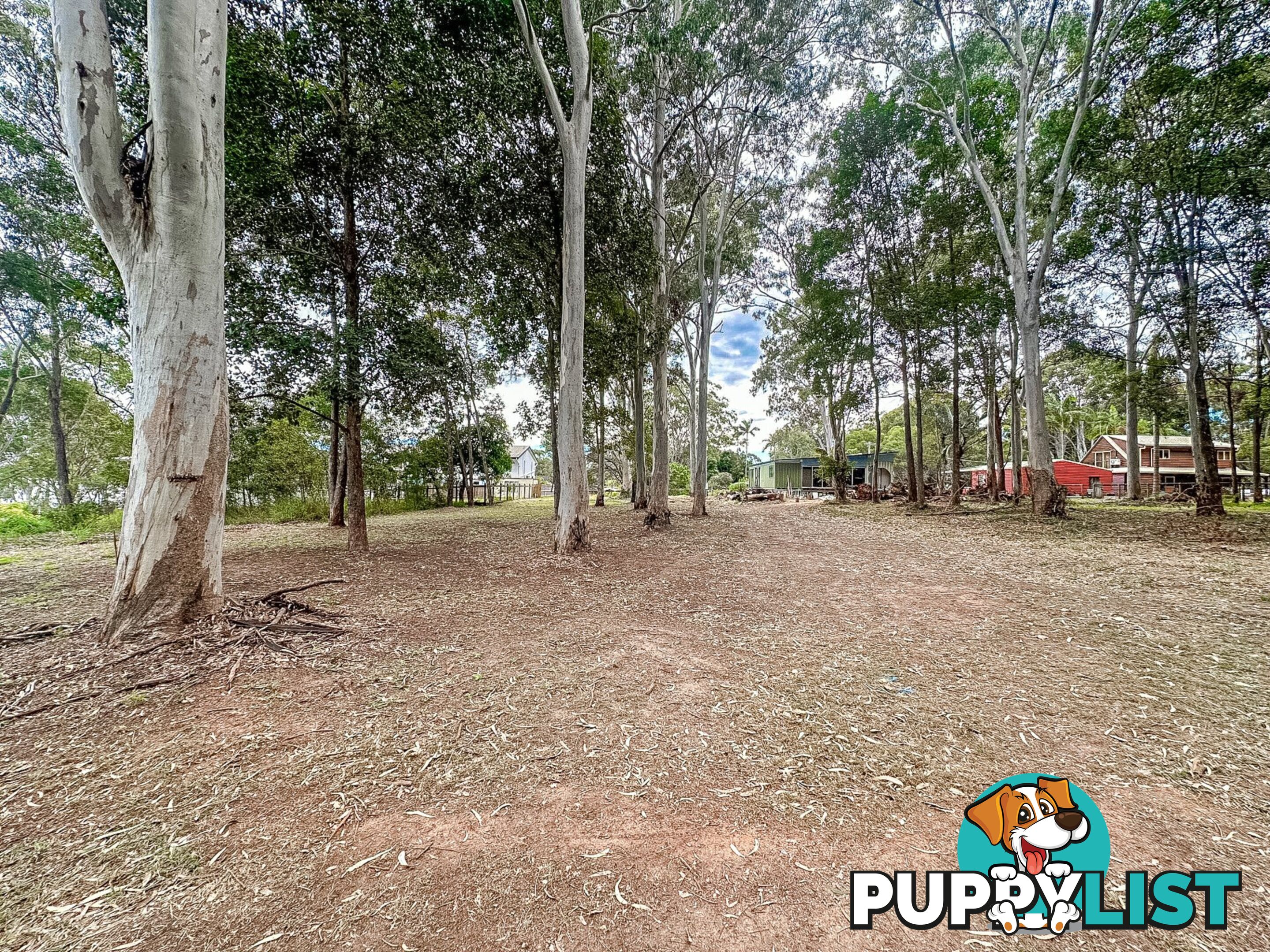 19 Ranora Ave RUSSELL ISLAND QLD 4184