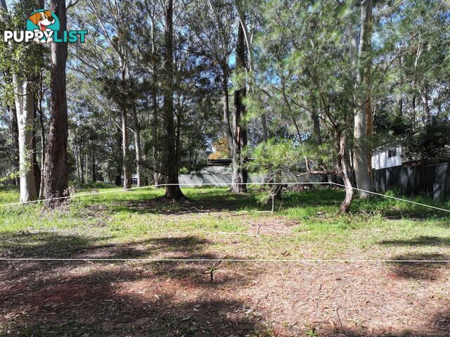 19-21 Toolona Ave RUSSELL ISLAND QLD 4184