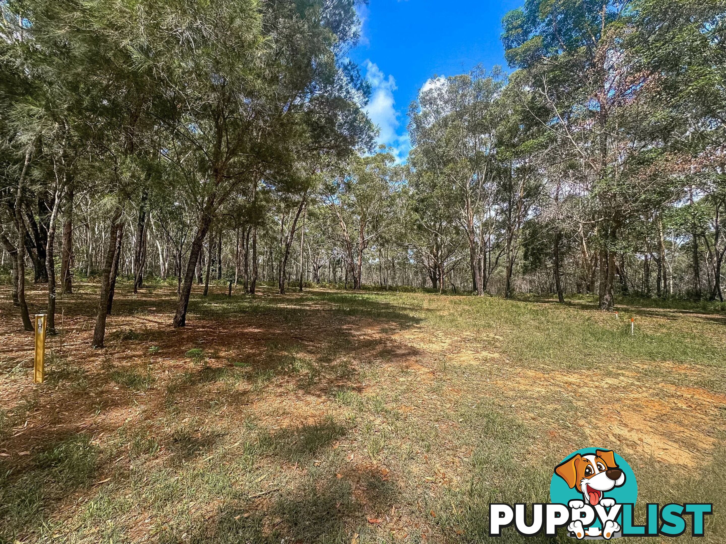 41 Karangi Drive RUSSELL ISLAND QLD 4184