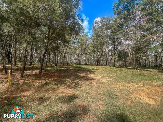 41 Karangi Drive RUSSELL ISLAND QLD 4184