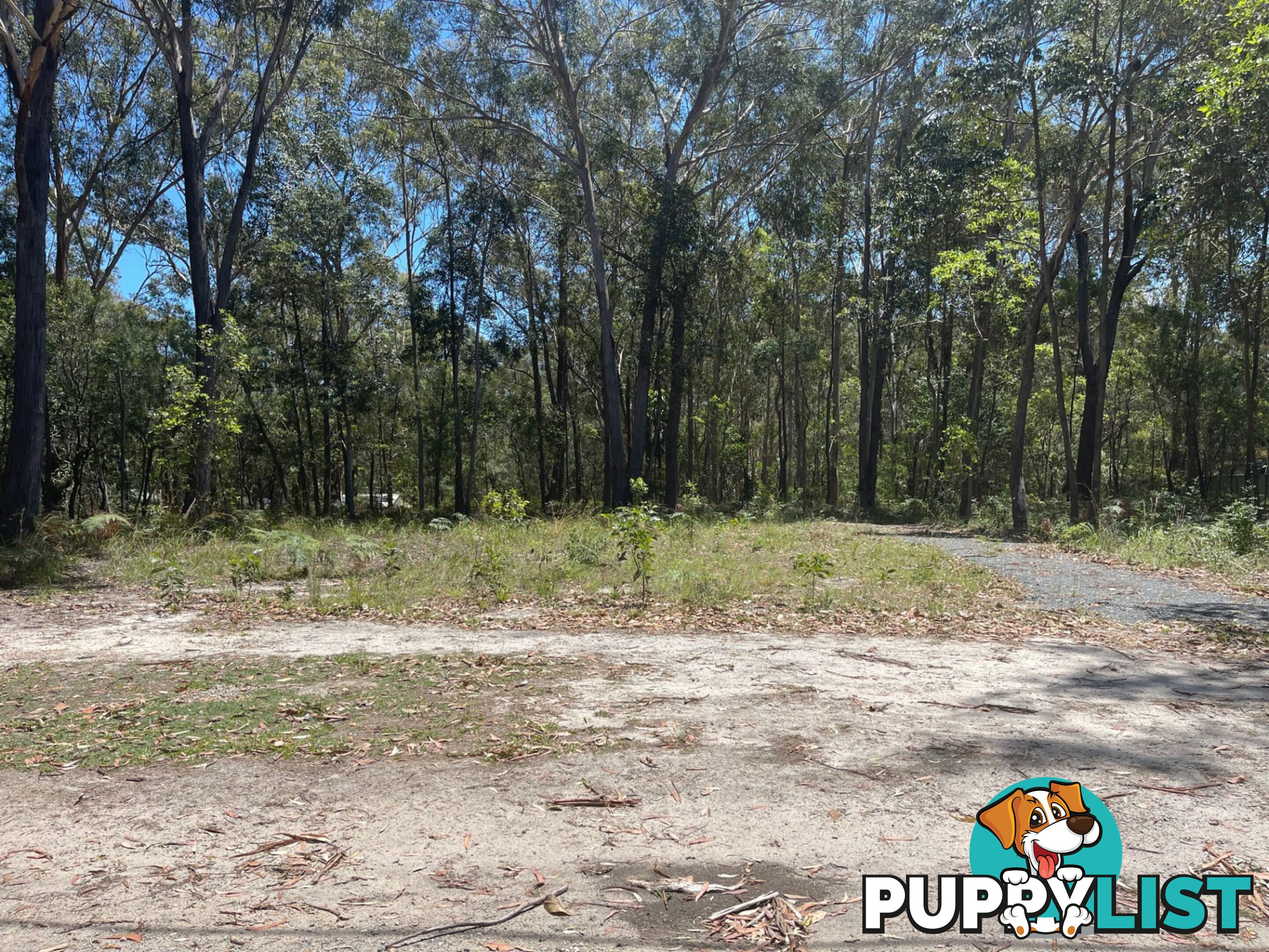 31 Villa Wood Road RUSSELL ISLAND QLD 4184