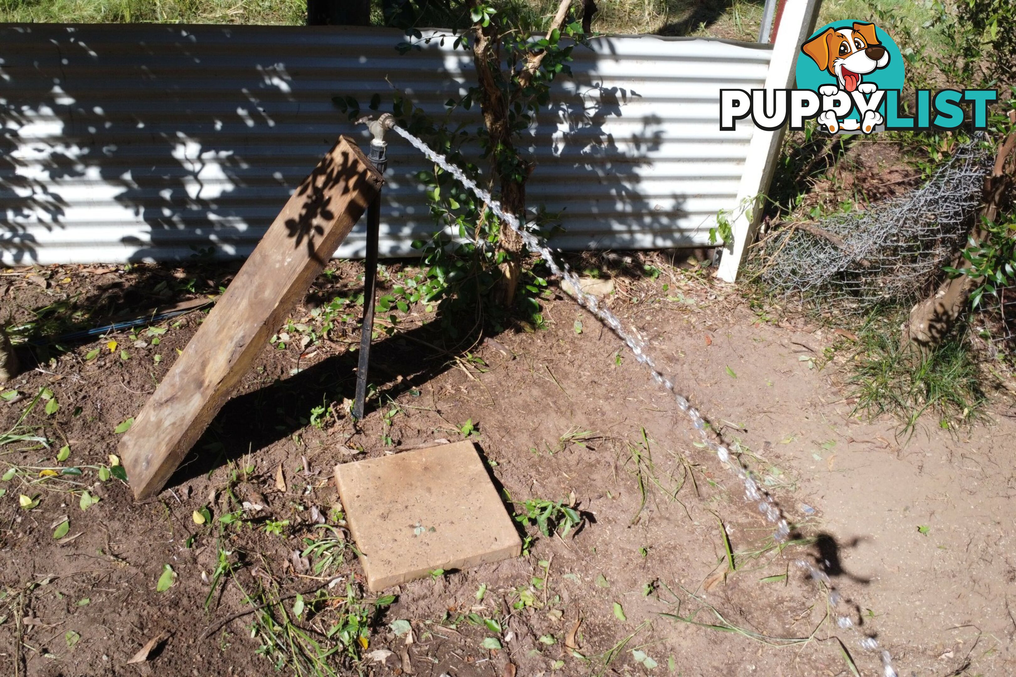 41 Belgrave Road RUSSELL ISLAND QLD 4184