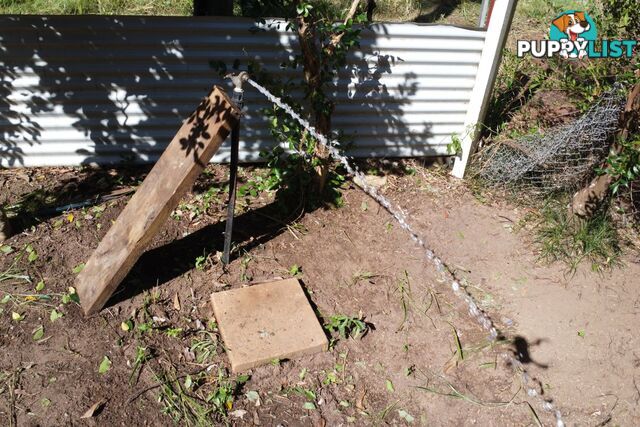 41 Belgrave Road RUSSELL ISLAND QLD 4184