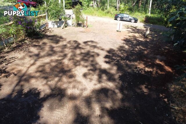 41 Belgrave Road RUSSELL ISLAND QLD 4184