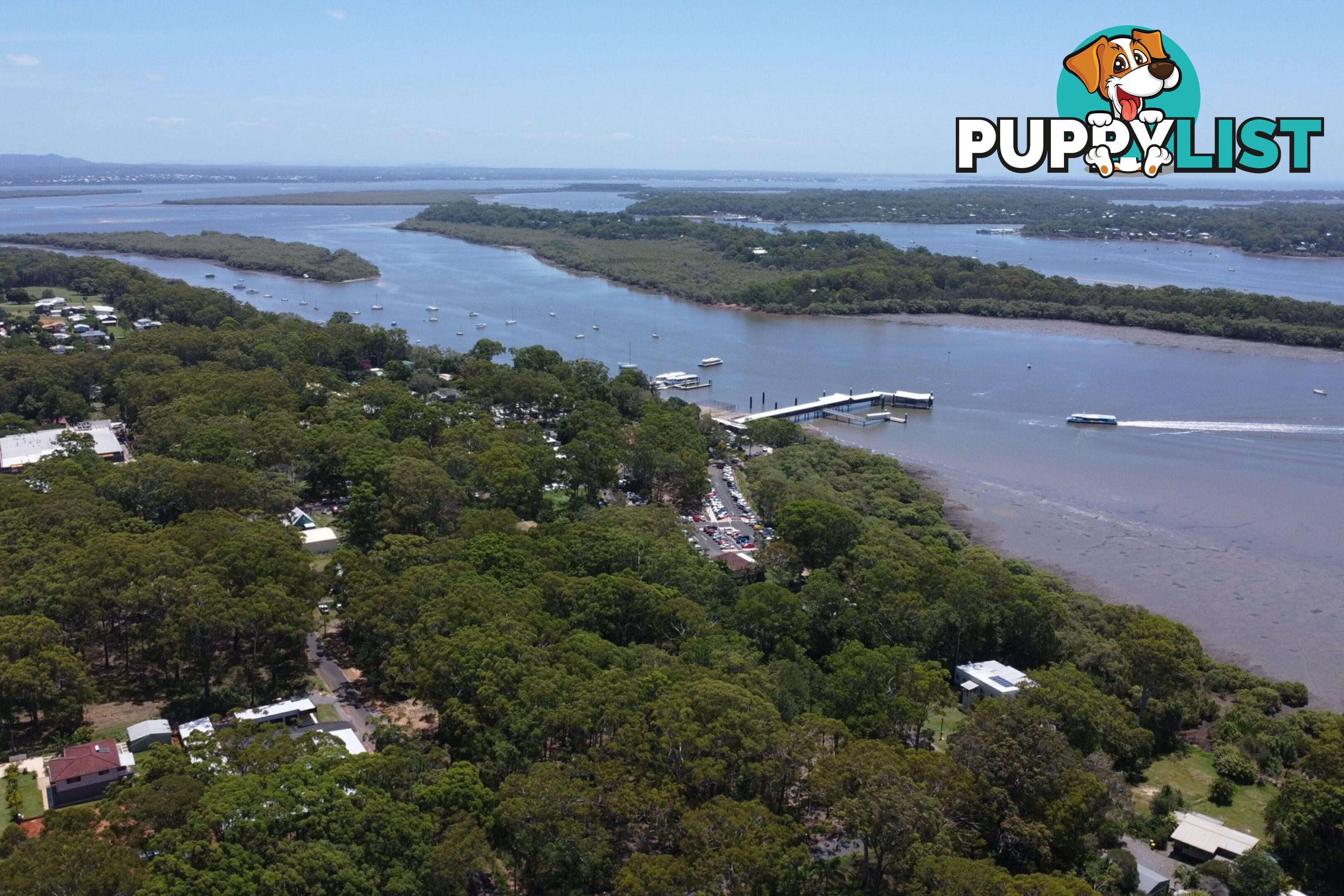 41 Belgrave Road RUSSELL ISLAND QLD 4184