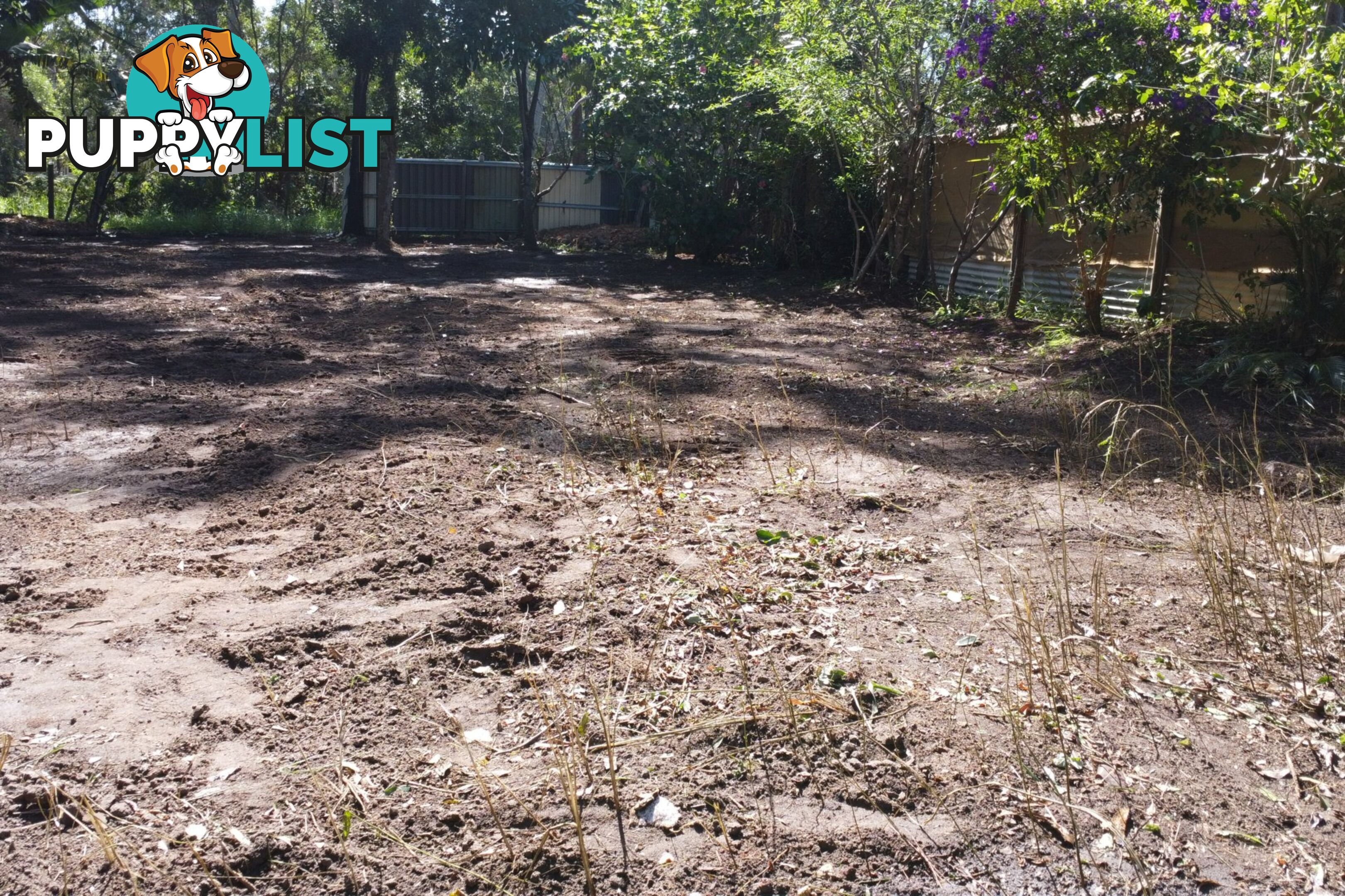 41 Belgrave Road RUSSELL ISLAND QLD 4184