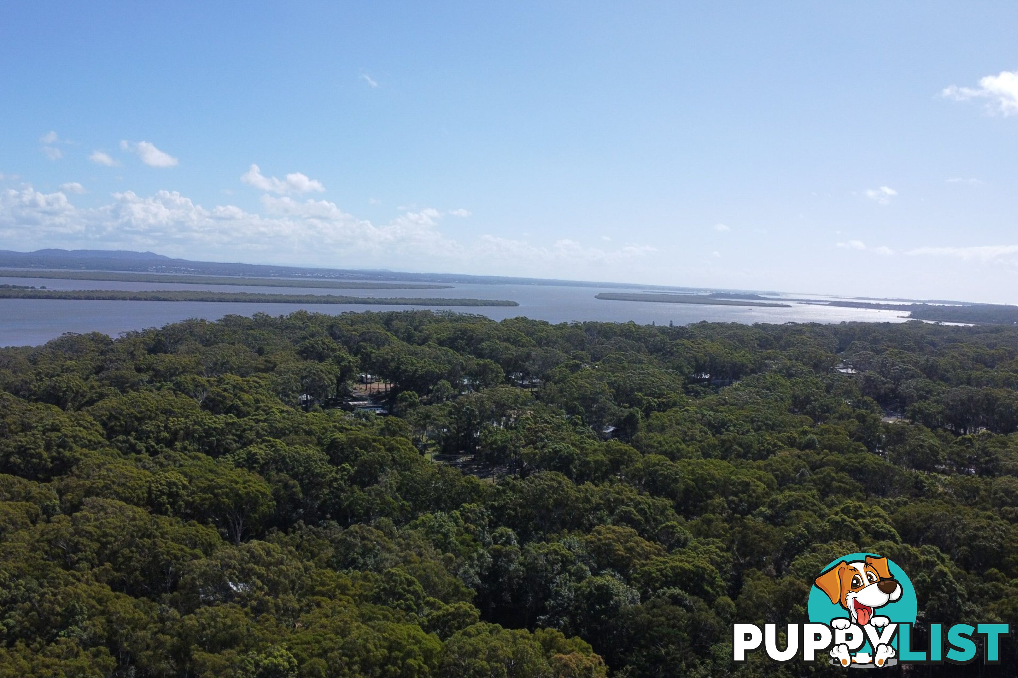 41 Belgrave Road RUSSELL ISLAND QLD 4184
