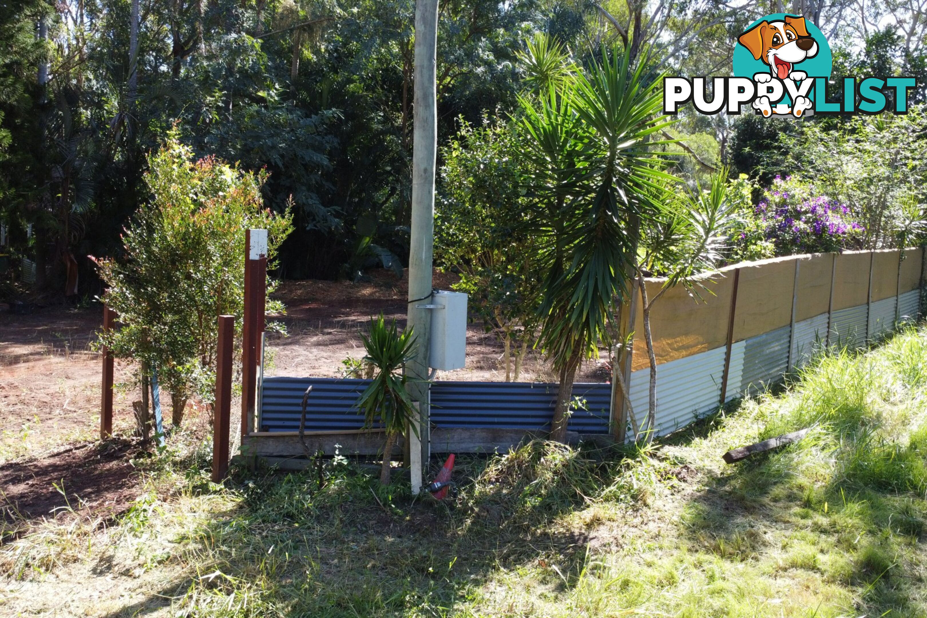 41 Belgrave Road RUSSELL ISLAND QLD 4184