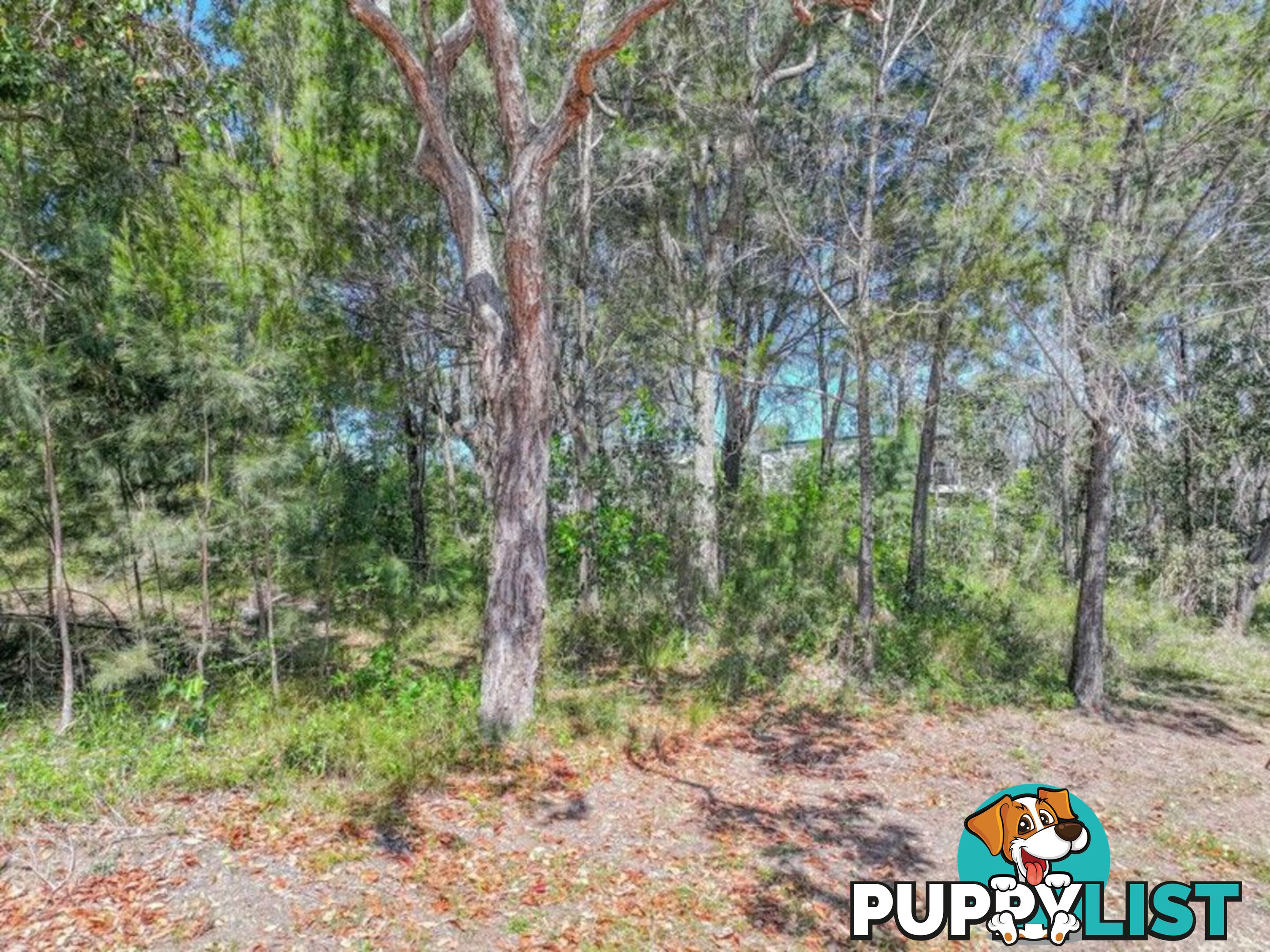 45 Tenanne Street RUSSELL ISLAND QLD 4184