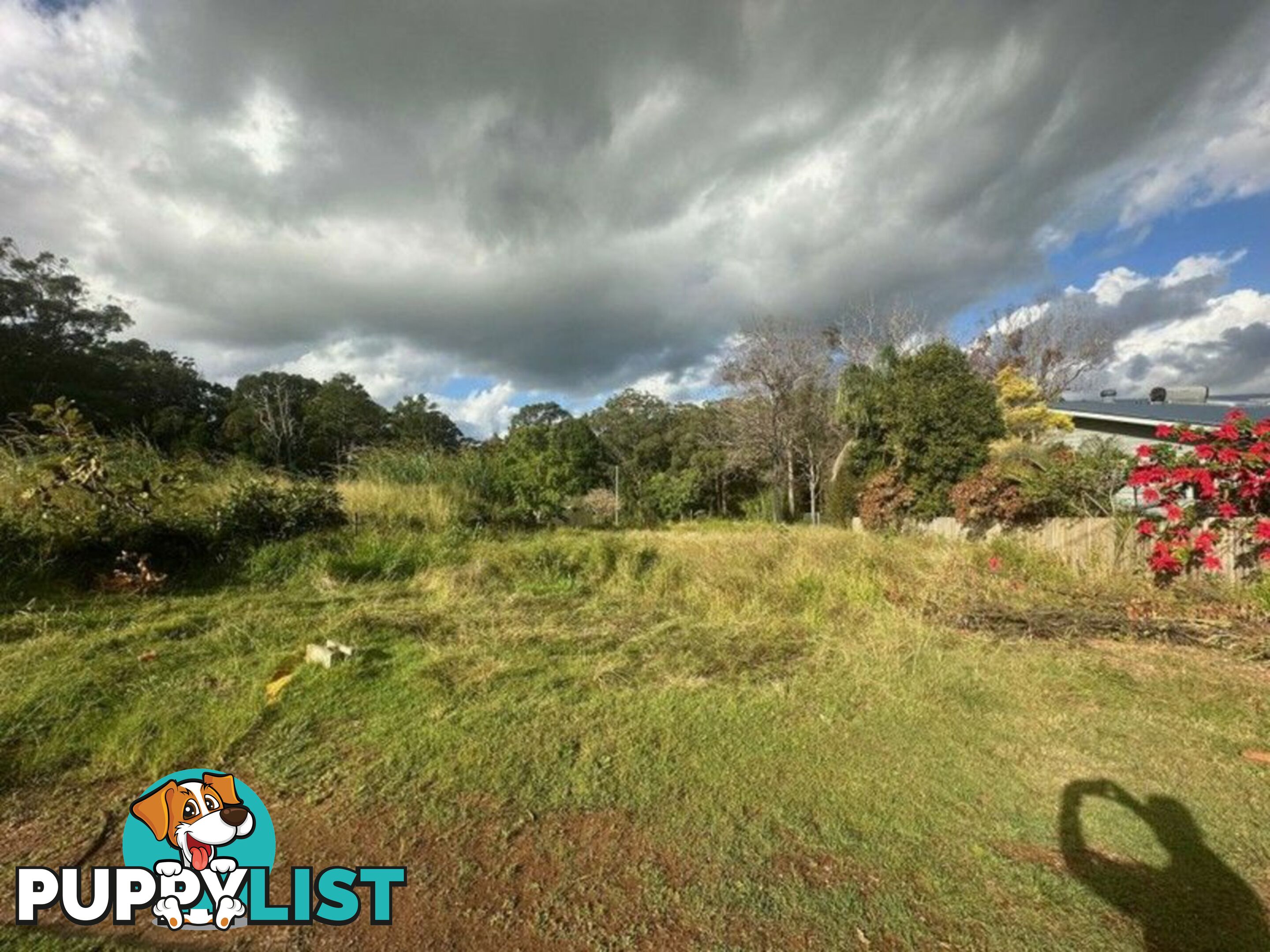 6 Gunsynd St RUSSELL ISLAND QLD 4184