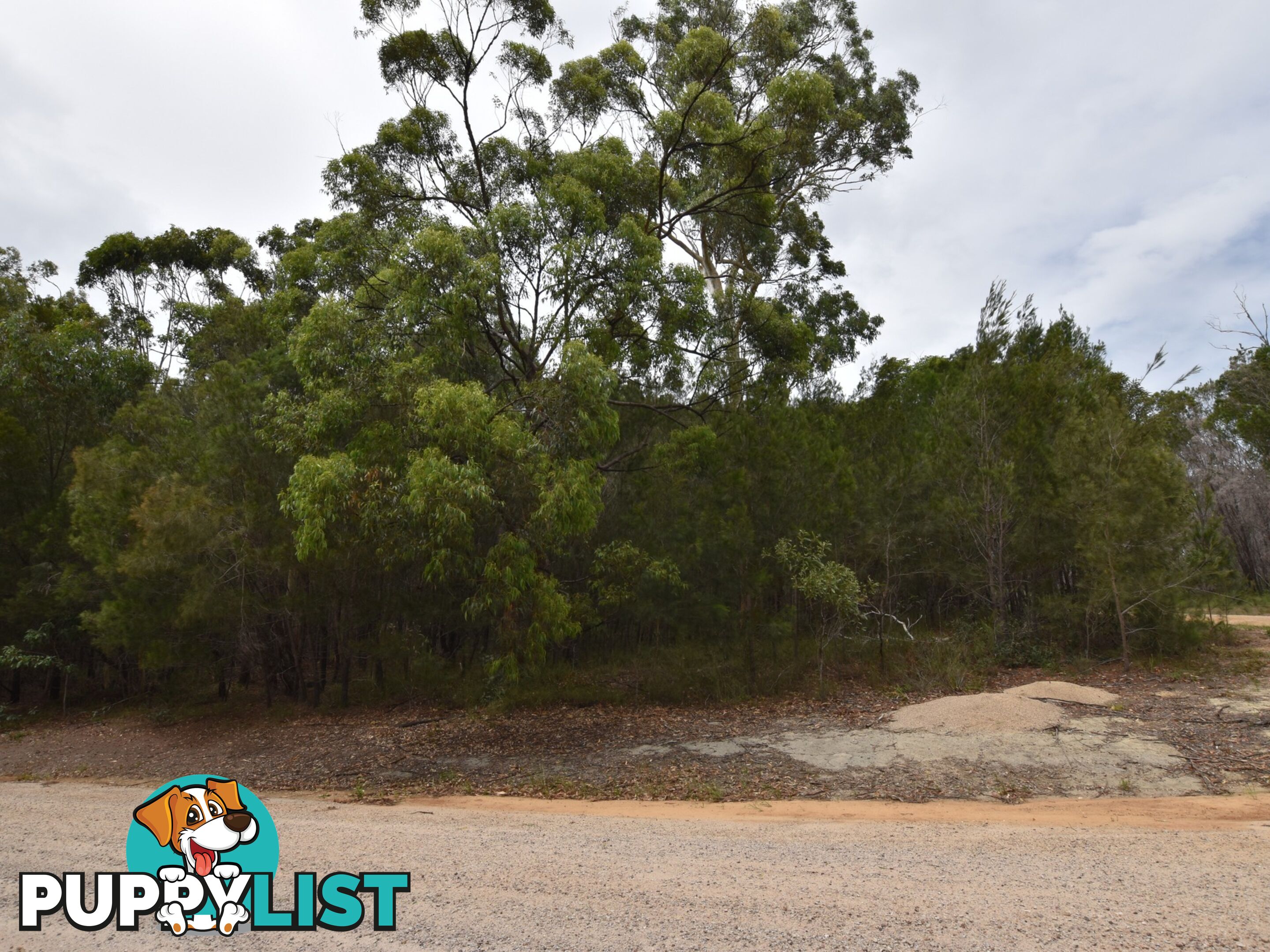 36 Rampart Drive RUSSELL ISLAND QLD 4184