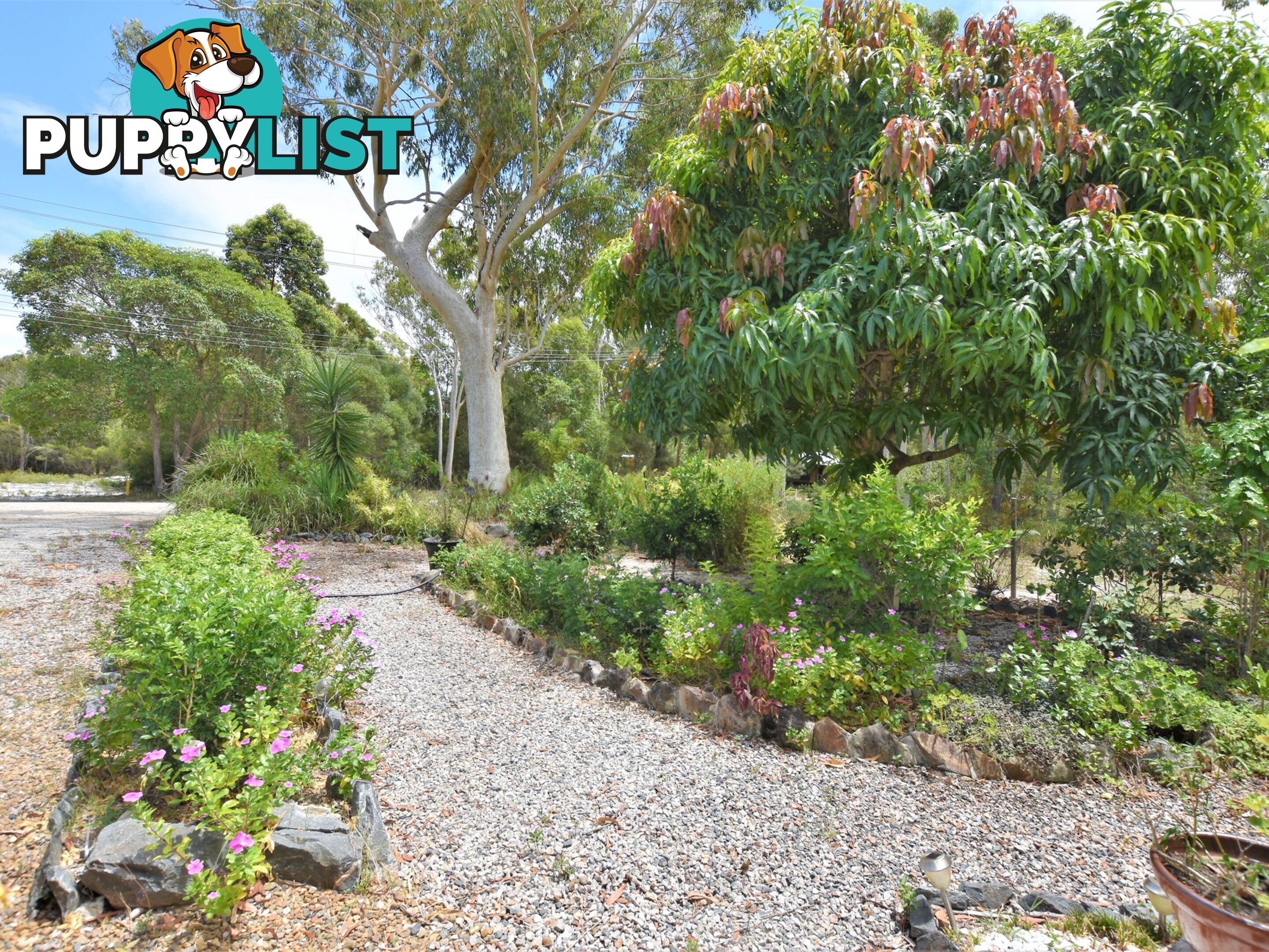 15 Frangipanni Street RUSSELL ISLAND QLD 4184