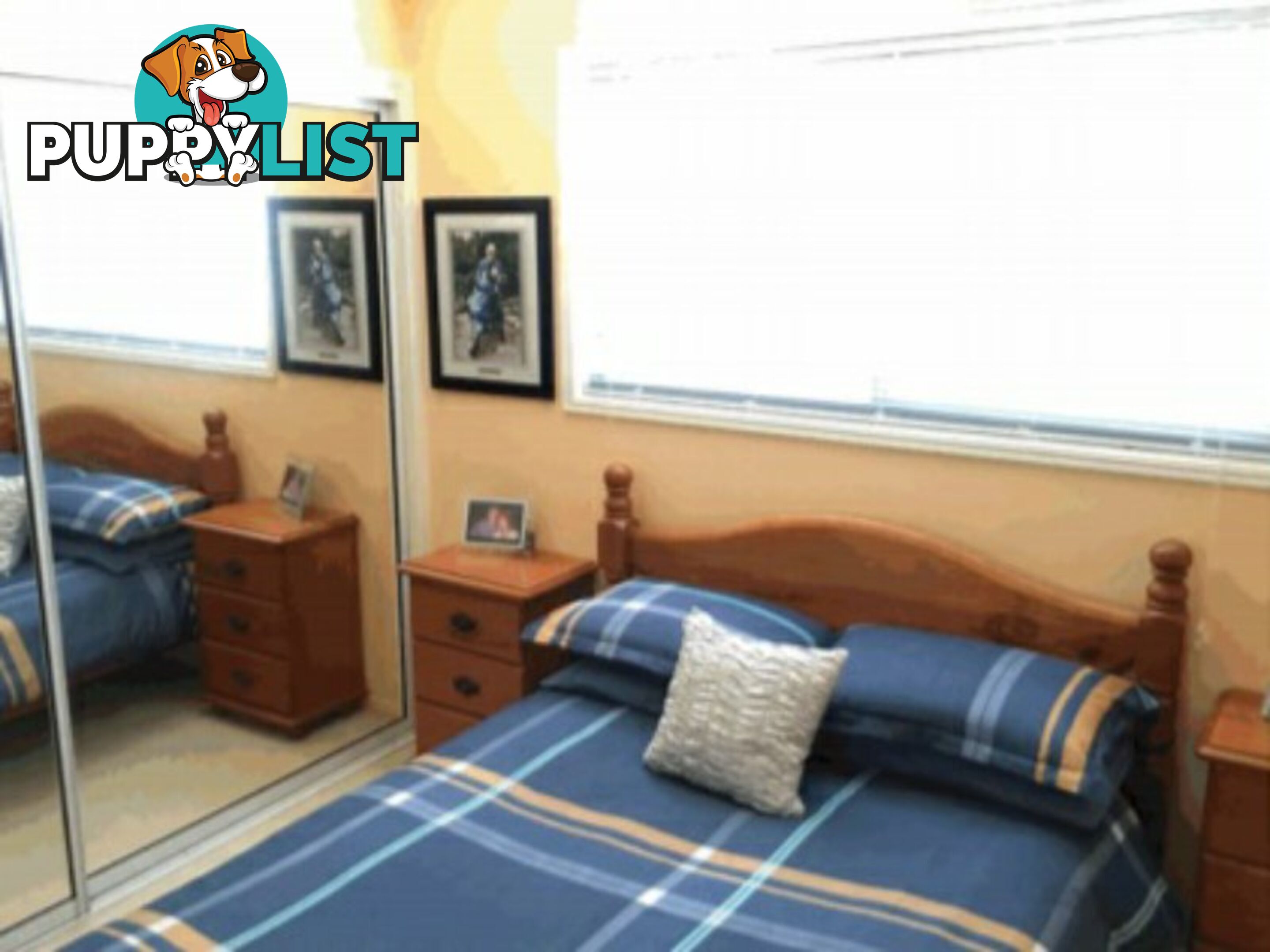 27 Highland Street RUSSELL ISLAND QLD 4184