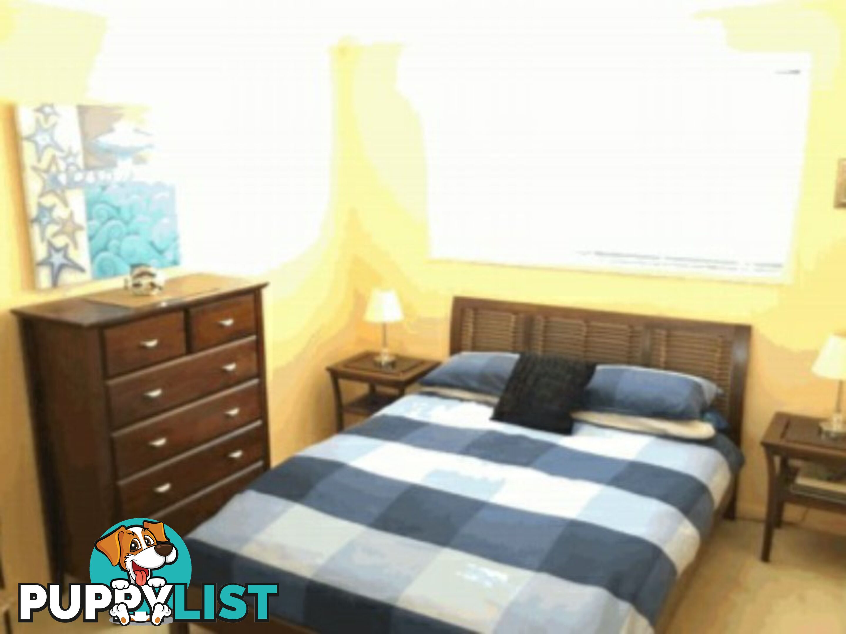 27 Highland Street RUSSELL ISLAND QLD 4184