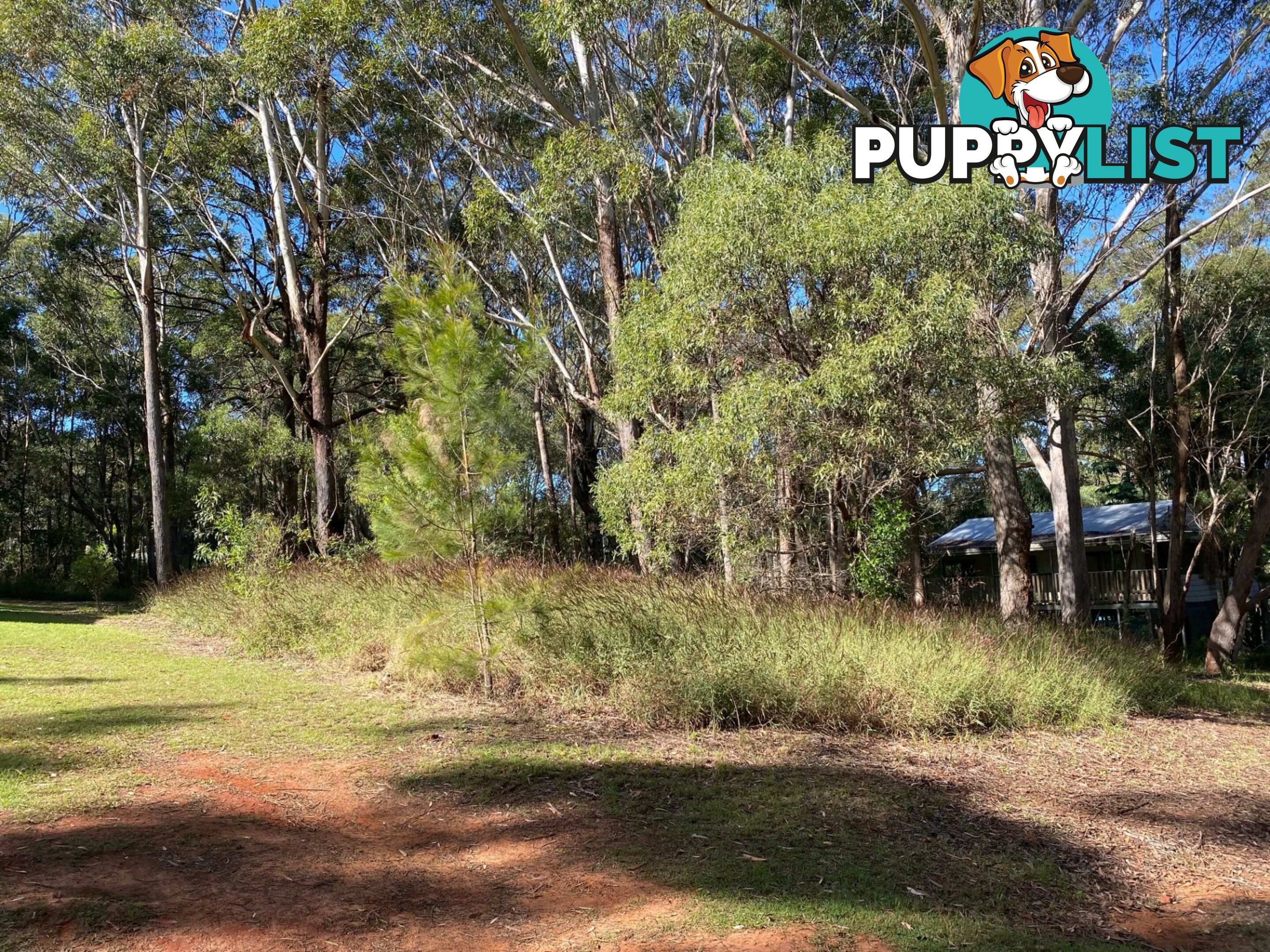 14 BLAXLAND RUSSELL ISLAND QLD 4184