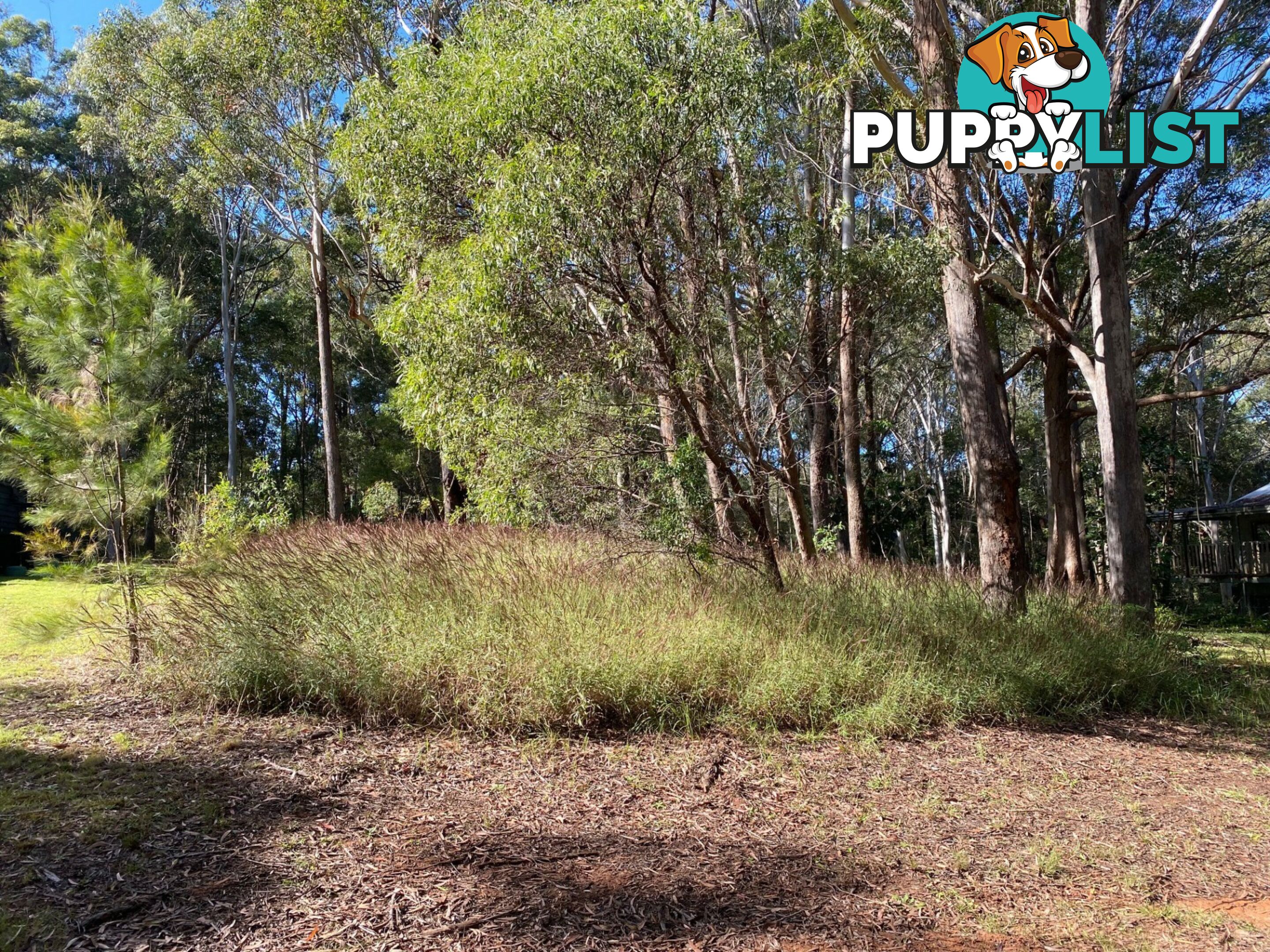 14 BLAXLAND RUSSELL ISLAND QLD 4184